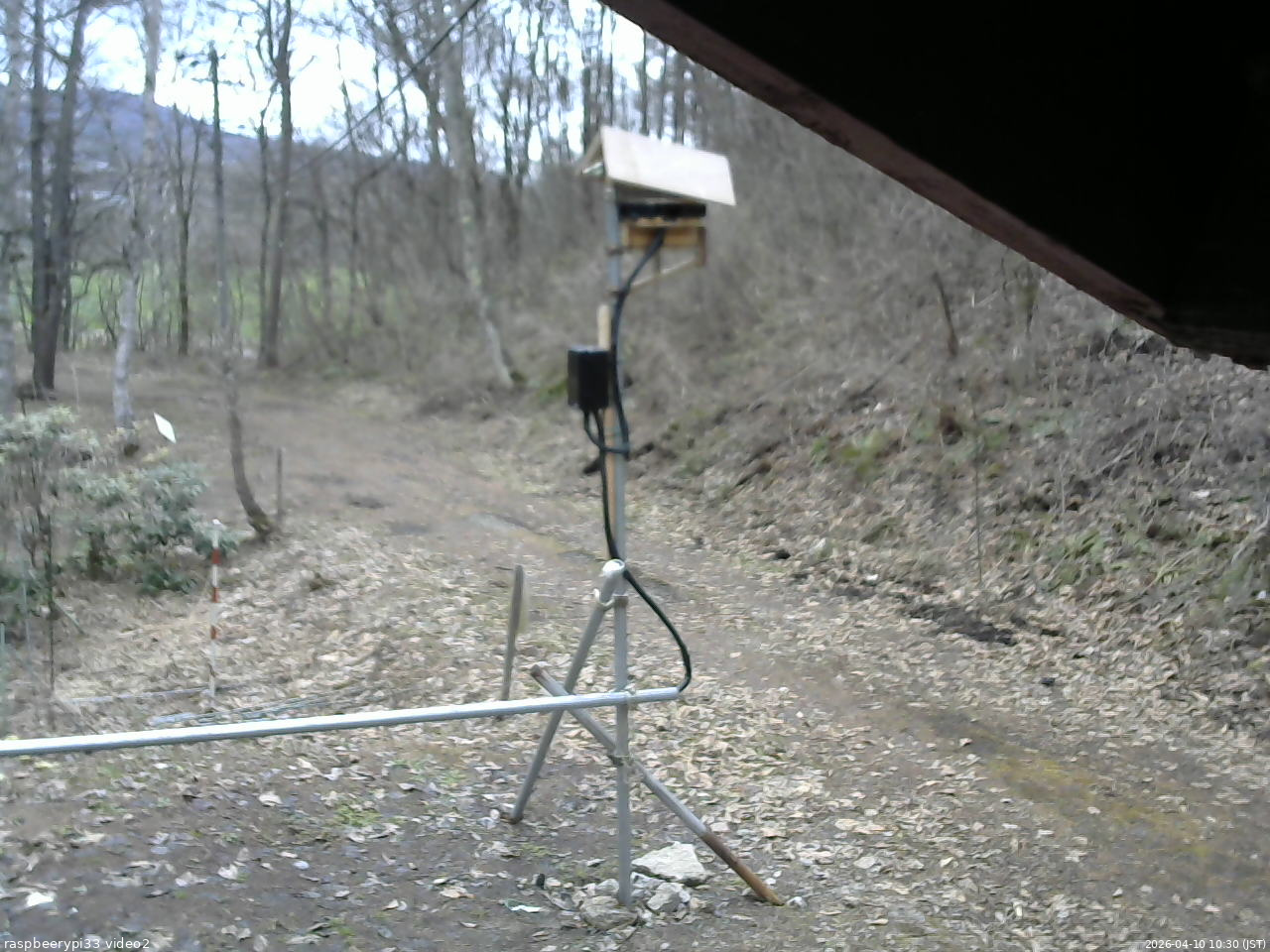 長野県菅平高原 ゆたか山荘 南側 2026/04/10 10:30