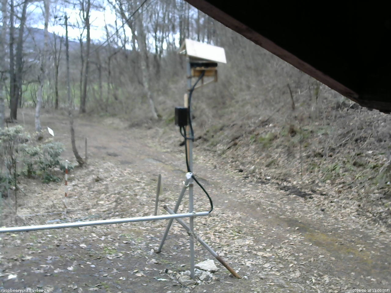 長野県菅平高原 ゆたか山荘 南側 2026/04/10 11:00
