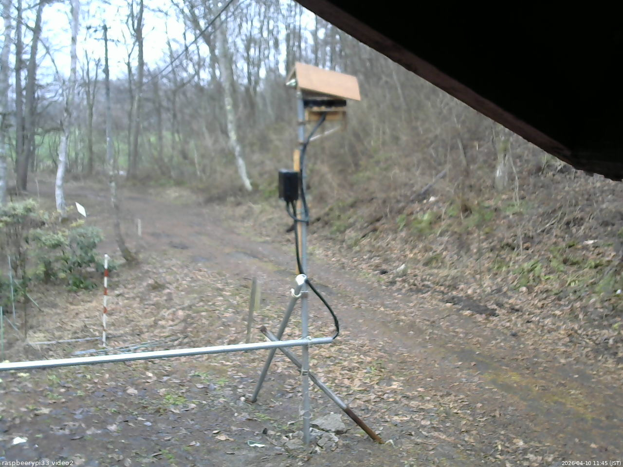 長野県菅平高原 ゆたか山荘 南側 2026/04/10 11:45