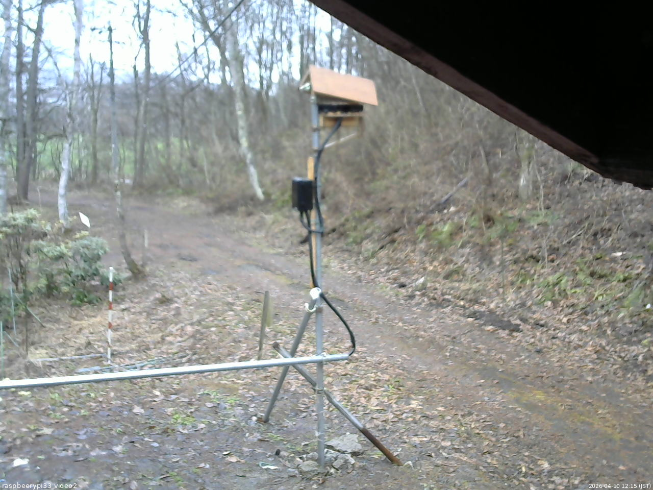 長野県菅平高原 ゆたか山荘 南側 2026/04/10 12:15