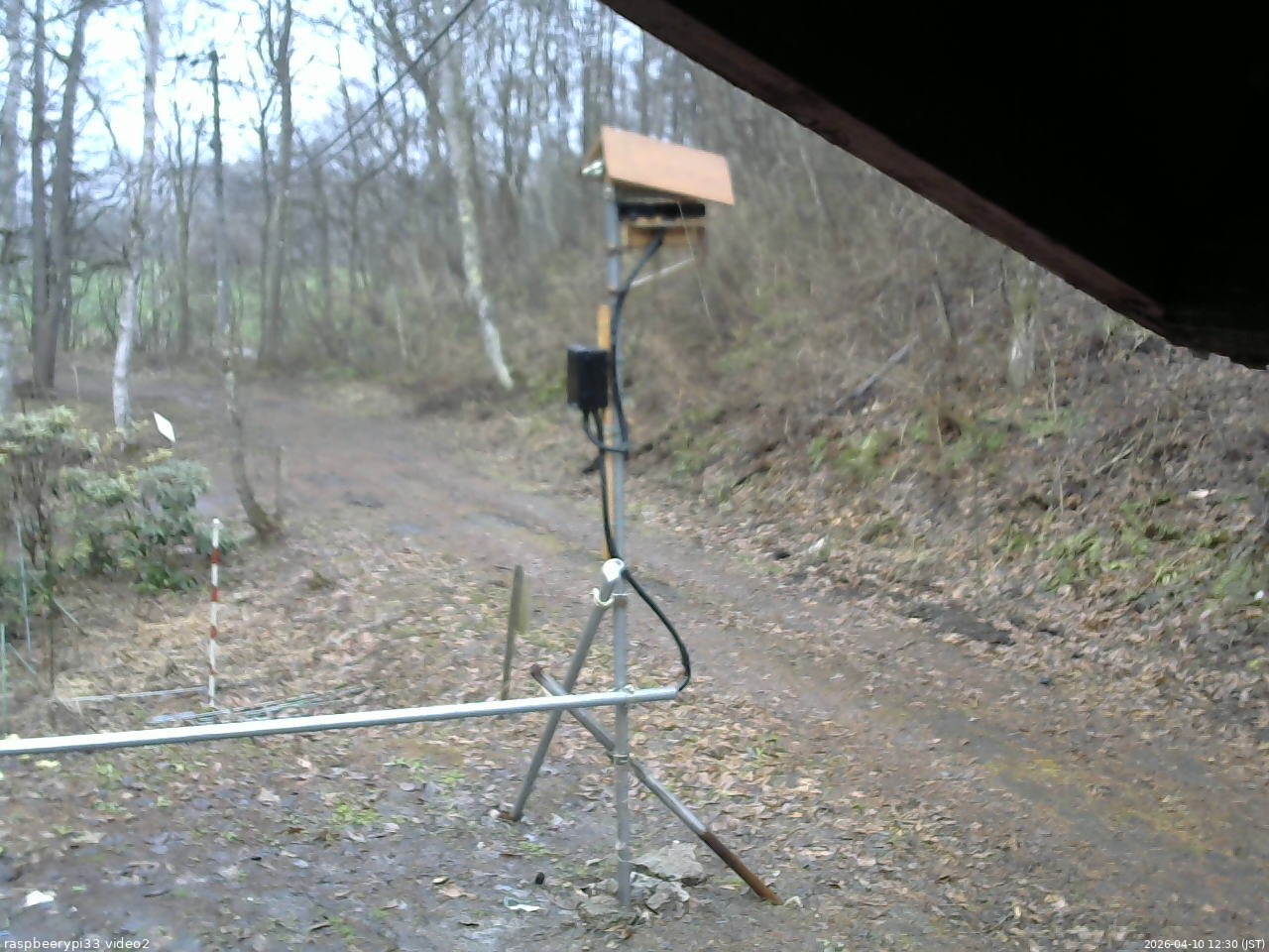 長野県菅平高原 ゆたか山荘 南側 2026/04/10 12:30