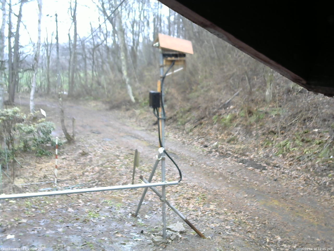 長野県菅平高原 ゆたか山荘 南側 2026/04/10 12:45
