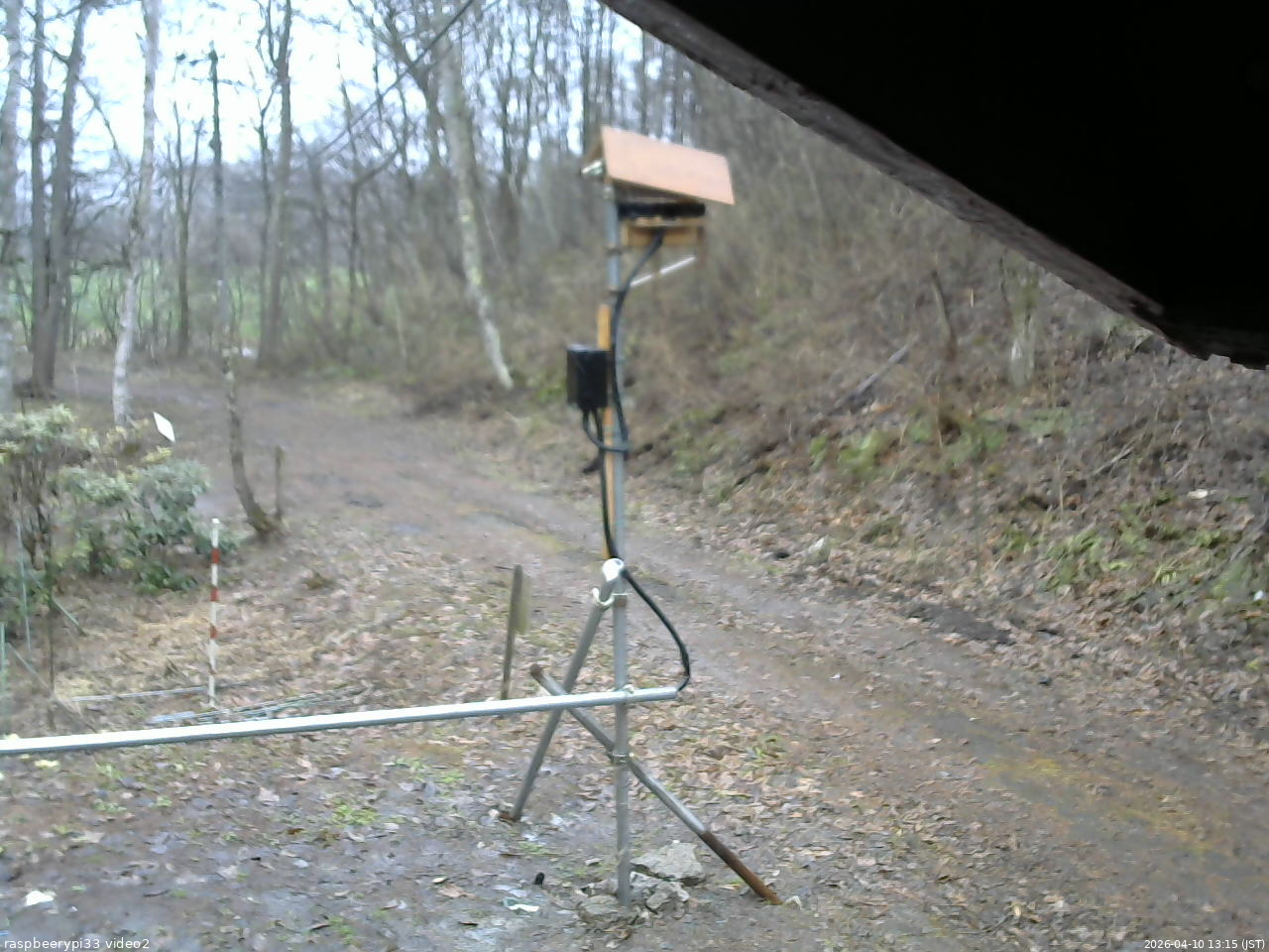 長野県菅平高原 ゆたか山荘 南側 2026/04/10 13:15