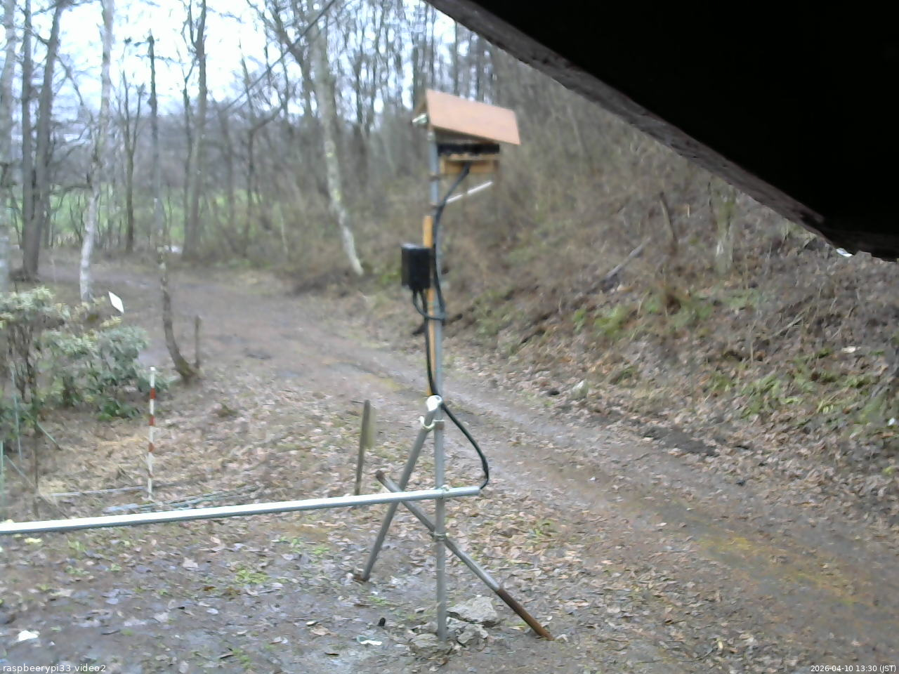 長野県菅平高原 ゆたか山荘 南側 2026/04/10 13:30