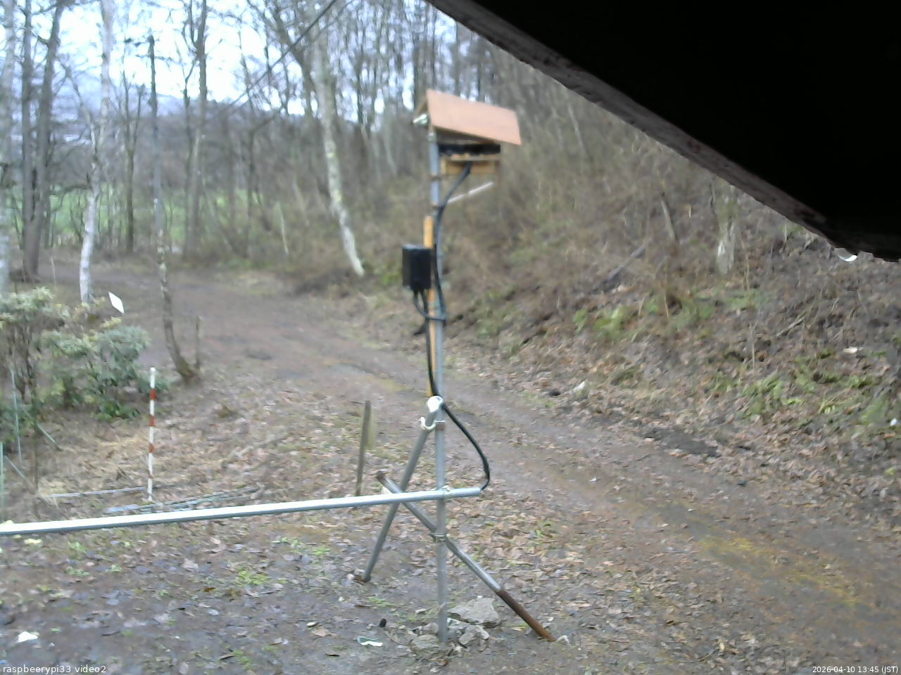 長野県菅平高原 ゆたか山荘 南側 2026/04/10 13:45