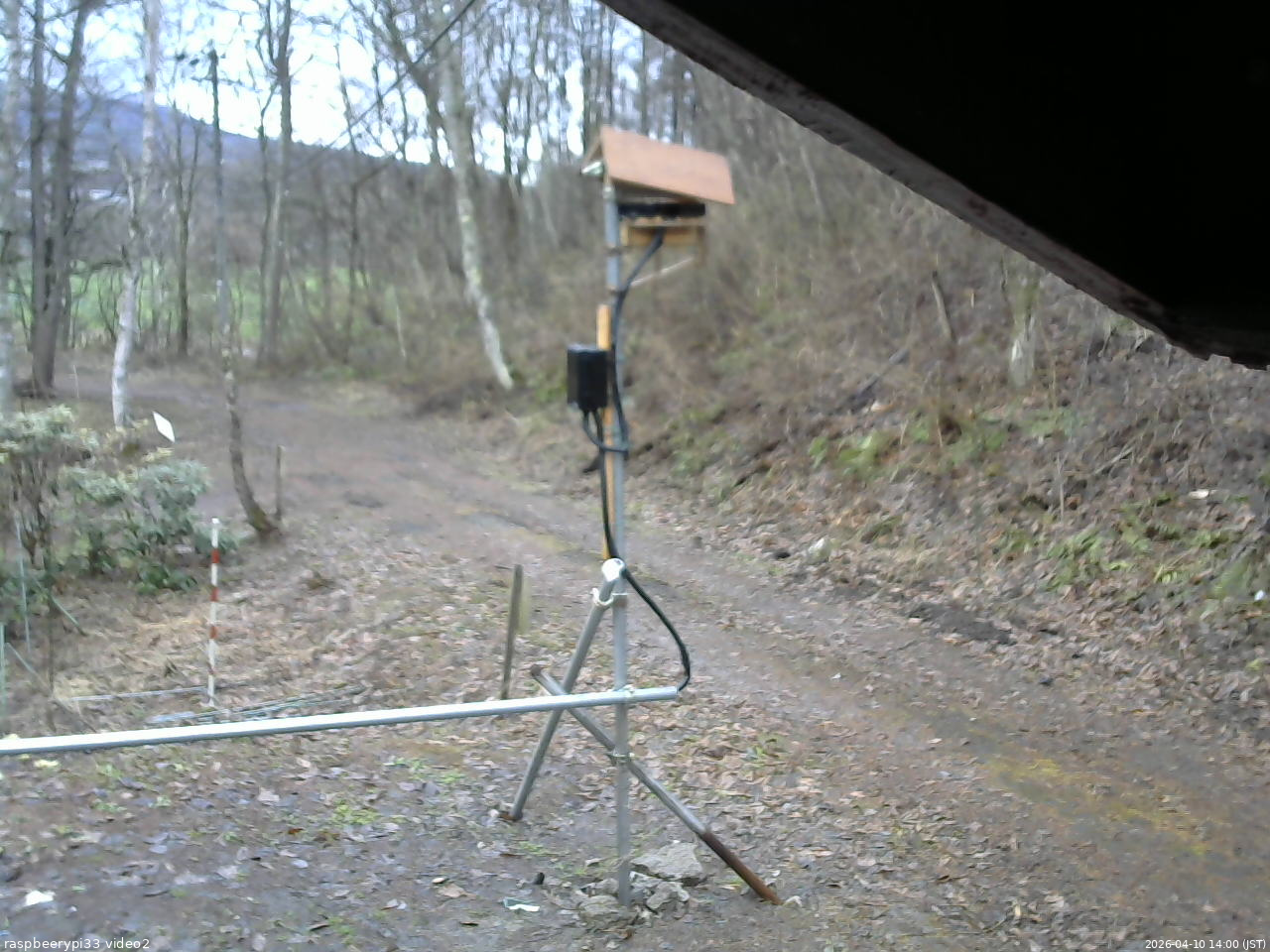 長野県菅平高原 ゆたか山荘 南側 2026/04/10 14:00