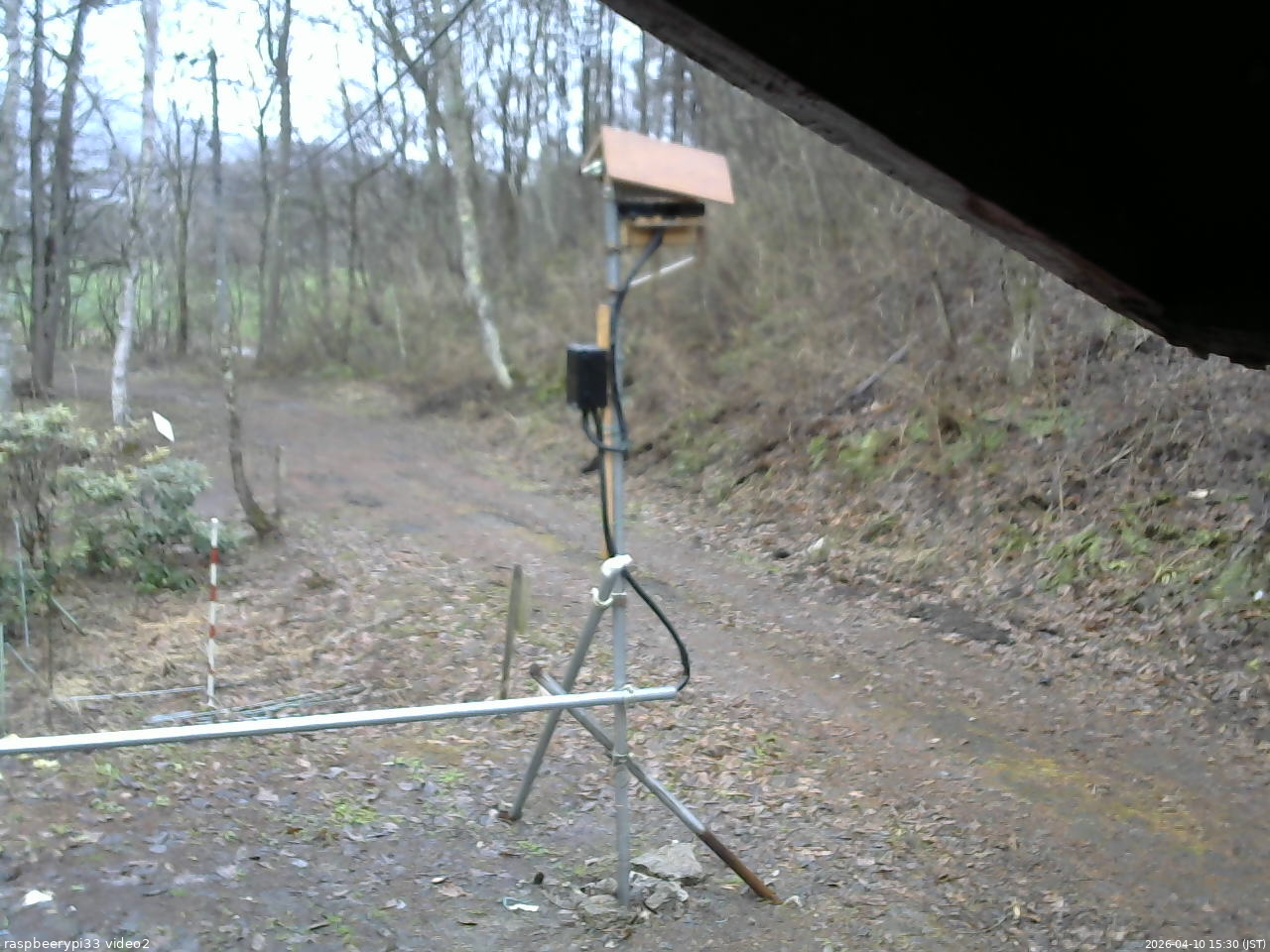 長野県菅平高原 ゆたか山荘 南側 2026/04/10 15:30