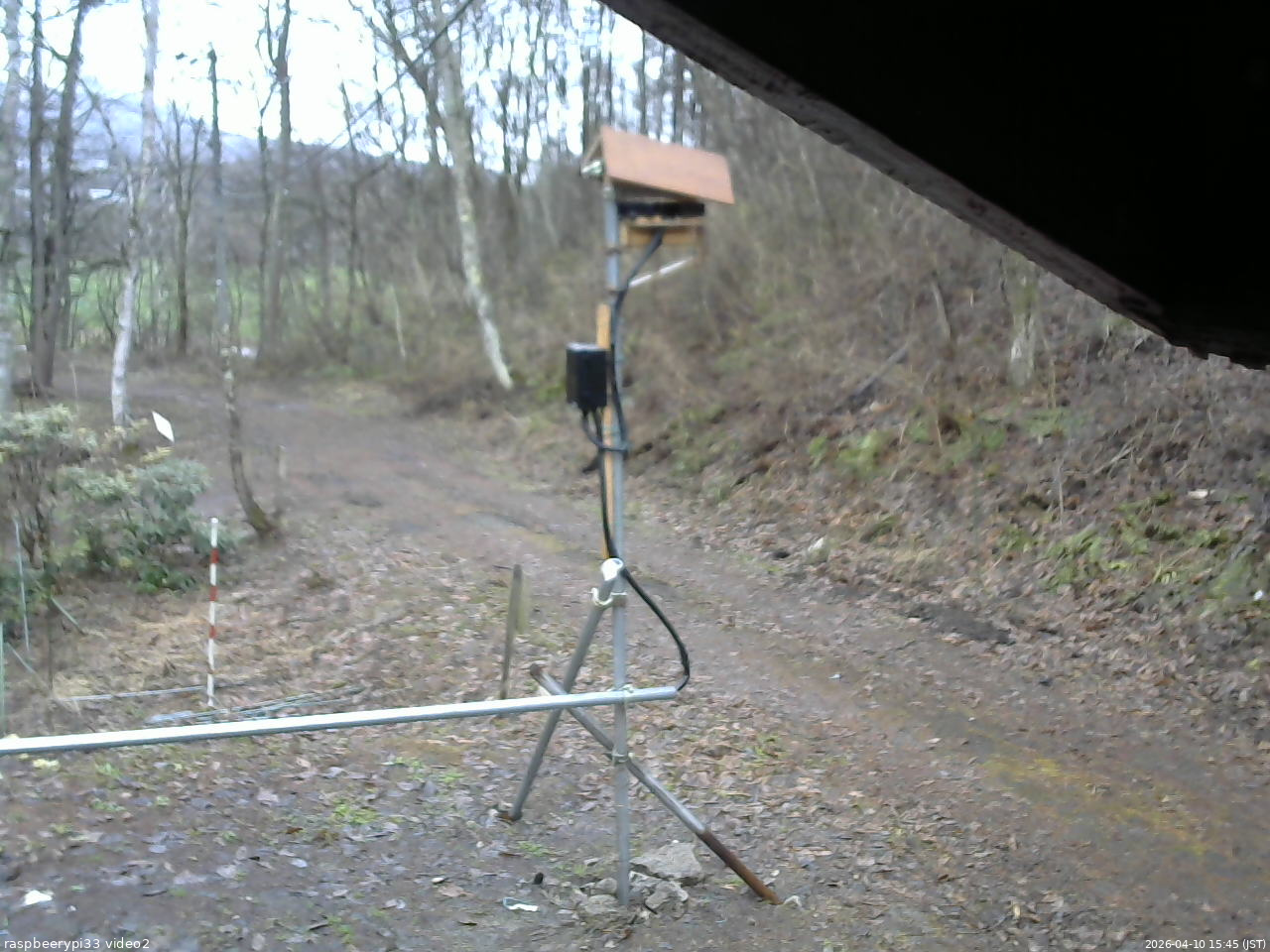 長野県菅平高原 ゆたか山荘 南側 2026/04/10 15:45