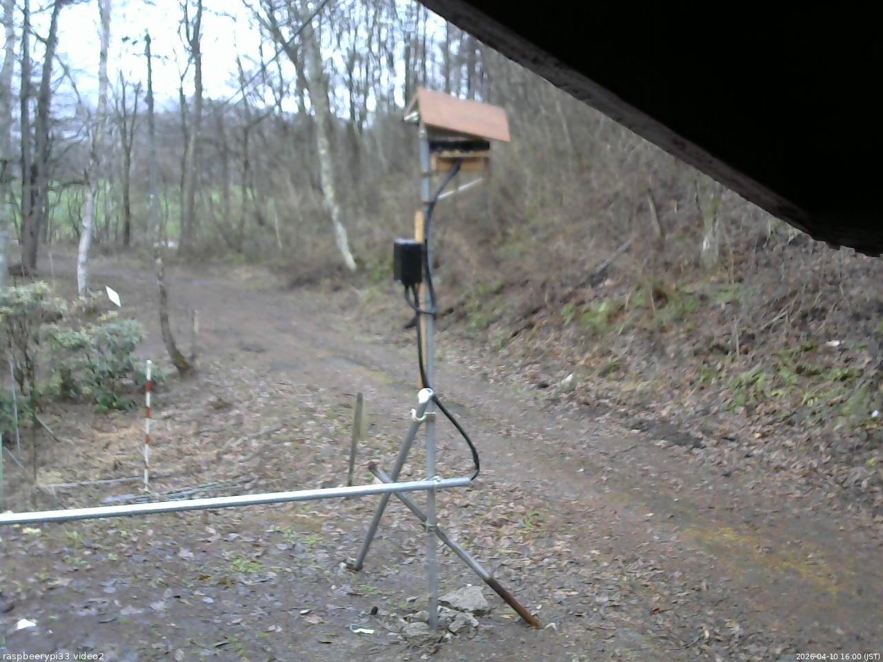 長野県菅平高原 ゆたか山荘 南側 2026/04/10 16:00