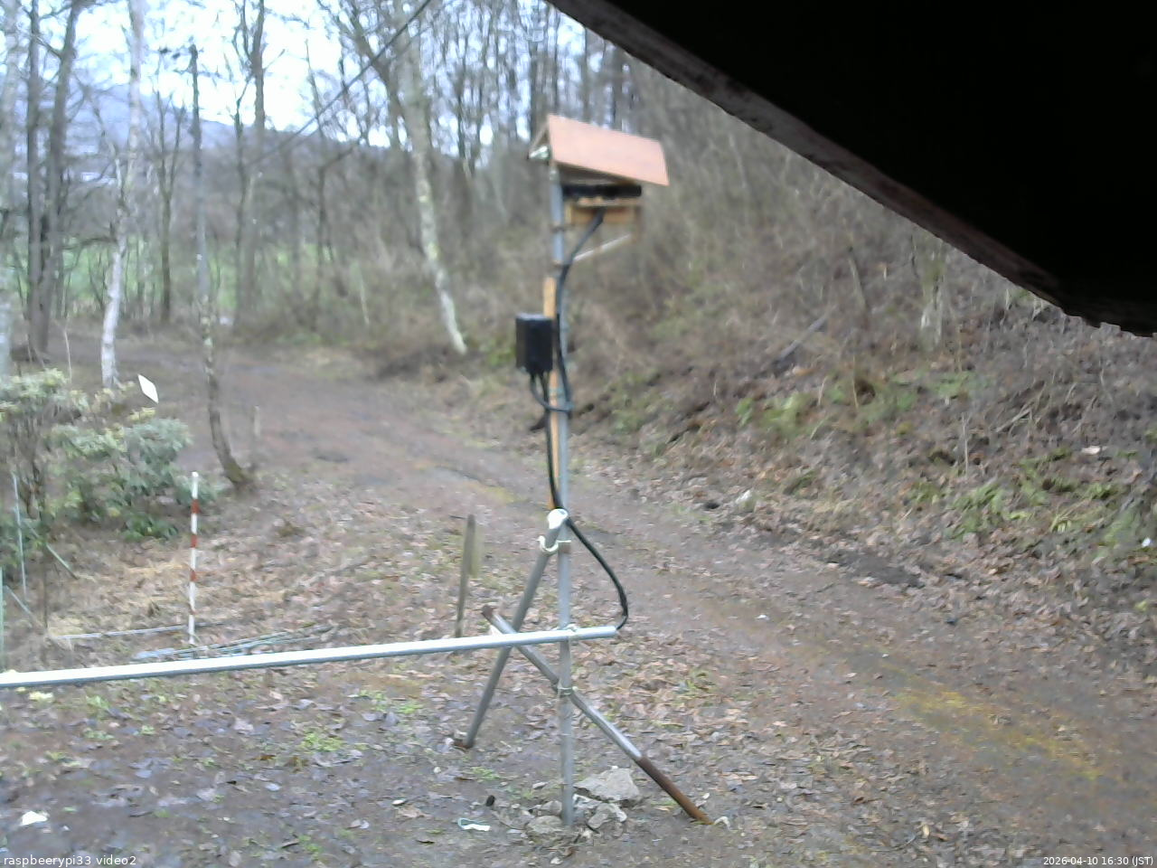 長野県菅平高原 ゆたか山荘 南側 2026/04/10 16:30