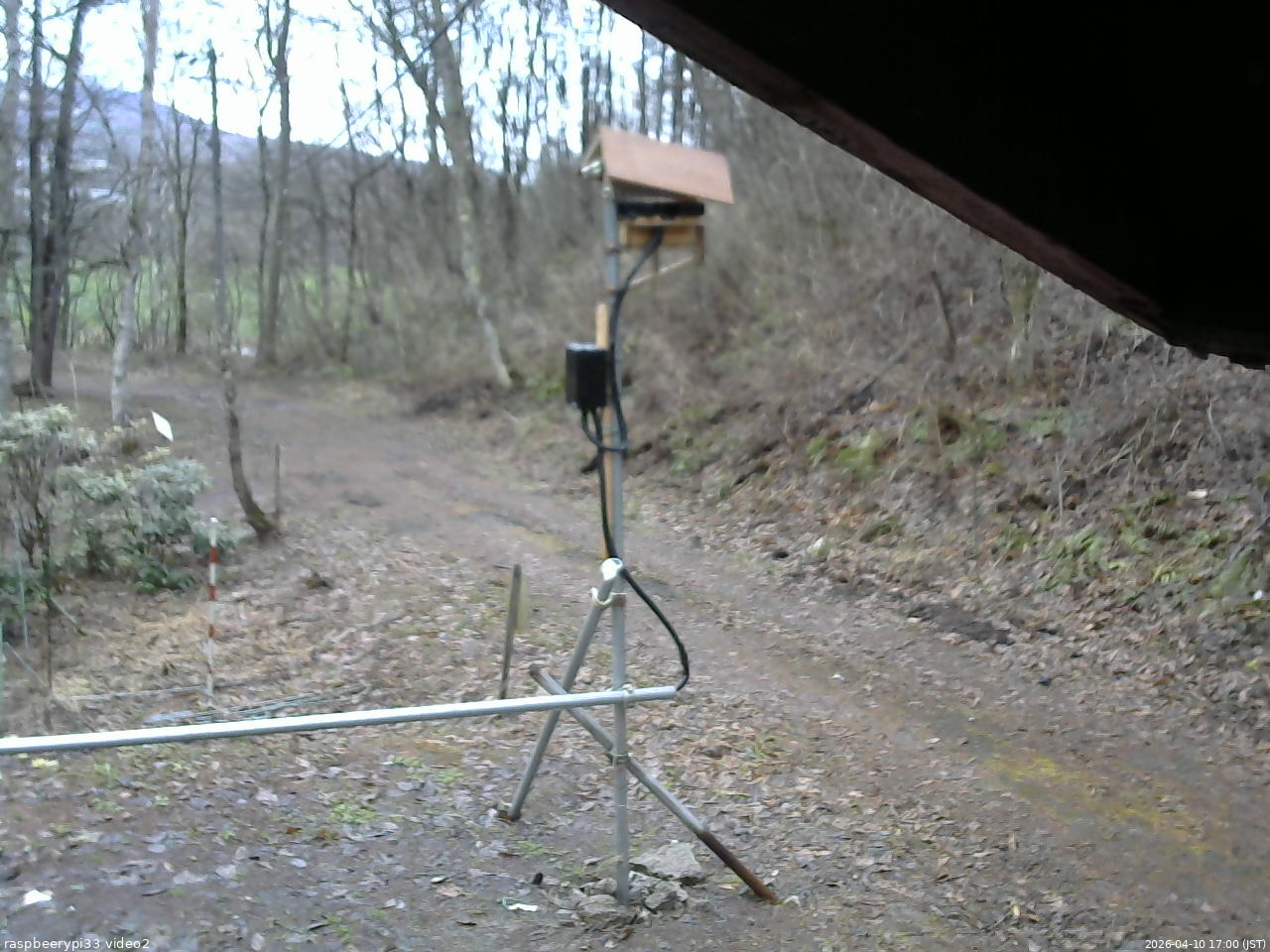長野県菅平高原 ゆたか山荘 南側 2026/04/10 17:00