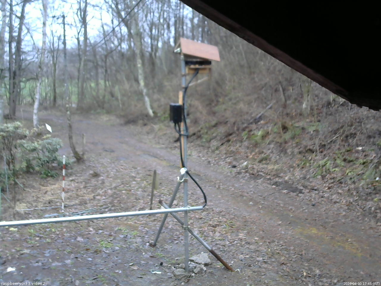 長野県菅平高原 ゆたか山荘 南側 2026/04/10 17:45