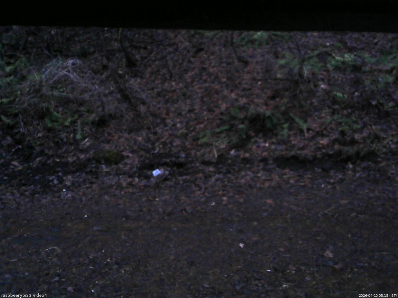 長野県菅平高原 ゆたか山荘 東側(坂下) 2026/04/10 05:15