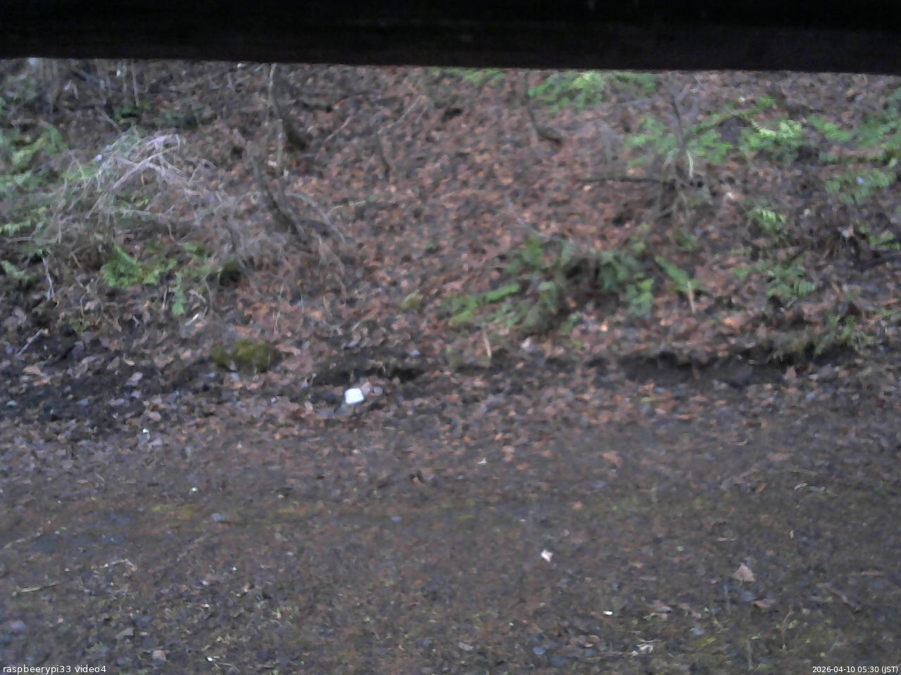 長野県菅平高原 ゆたか山荘 東側(坂下) 2026/04/10 05:30