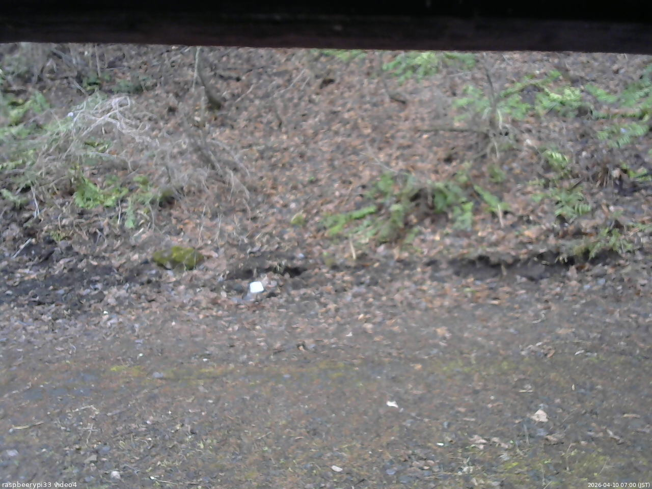 長野県菅平高原 ゆたか山荘 東側(坂下) 2026/04/10 07:00