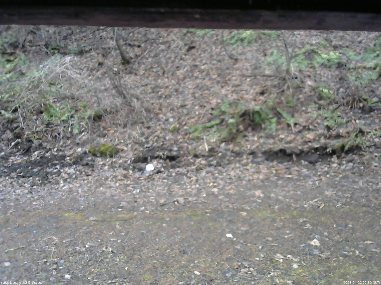 長野県菅平高原 ゆたか山荘 東側(坂下) 2026/04/10 07:30