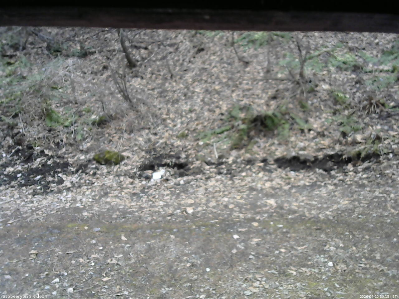 長野県菅平高原 ゆたか山荘 東側(坂下) 2026/04/10 10:15
