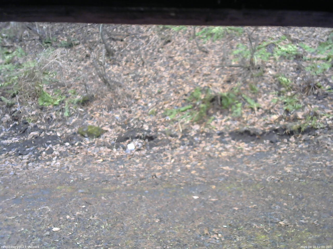 長野県菅平高原 ゆたか山荘 東側(坂下) 2026/04/10 12:00