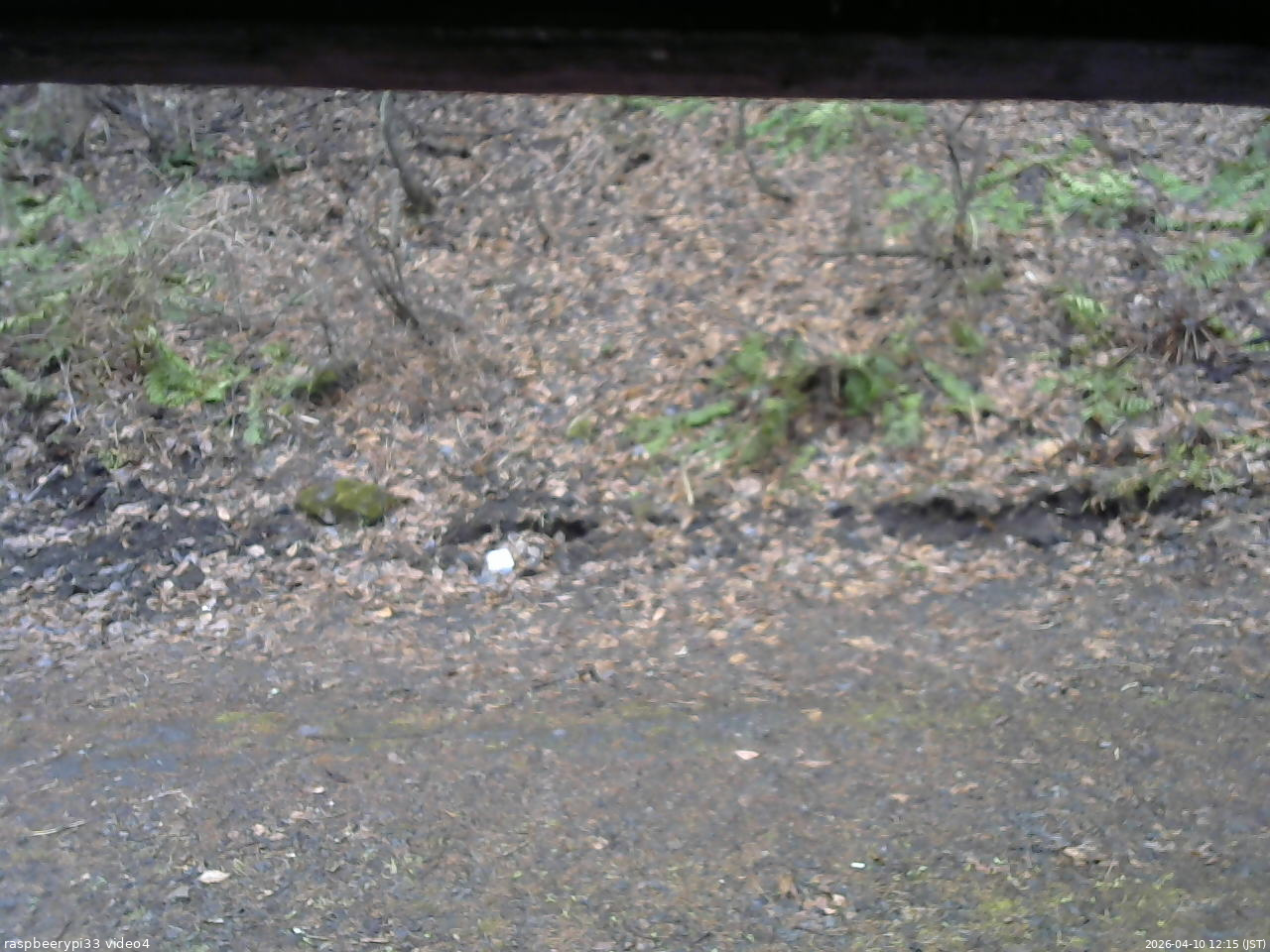 長野県菅平高原 ゆたか山荘 東側(坂下) 2026/04/10 12:15