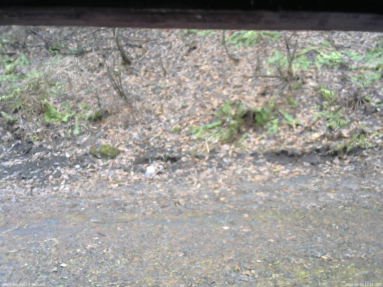 長野県菅平高原 ゆたか山荘 東側(坂下) 2026/04/10 13:15