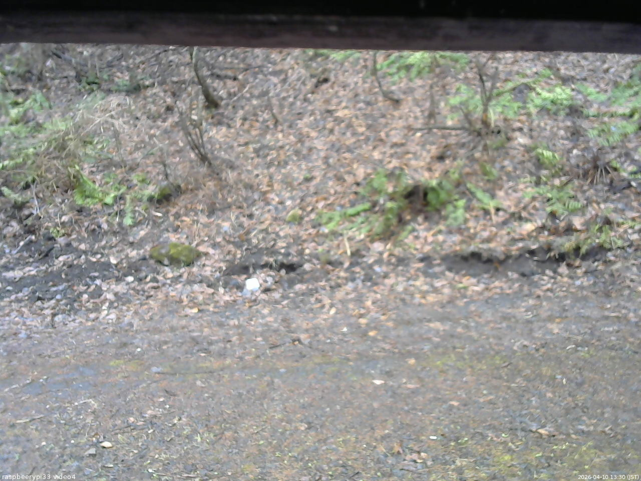 長野県菅平高原 ゆたか山荘 東側(坂下) 2026/04/10 13:30