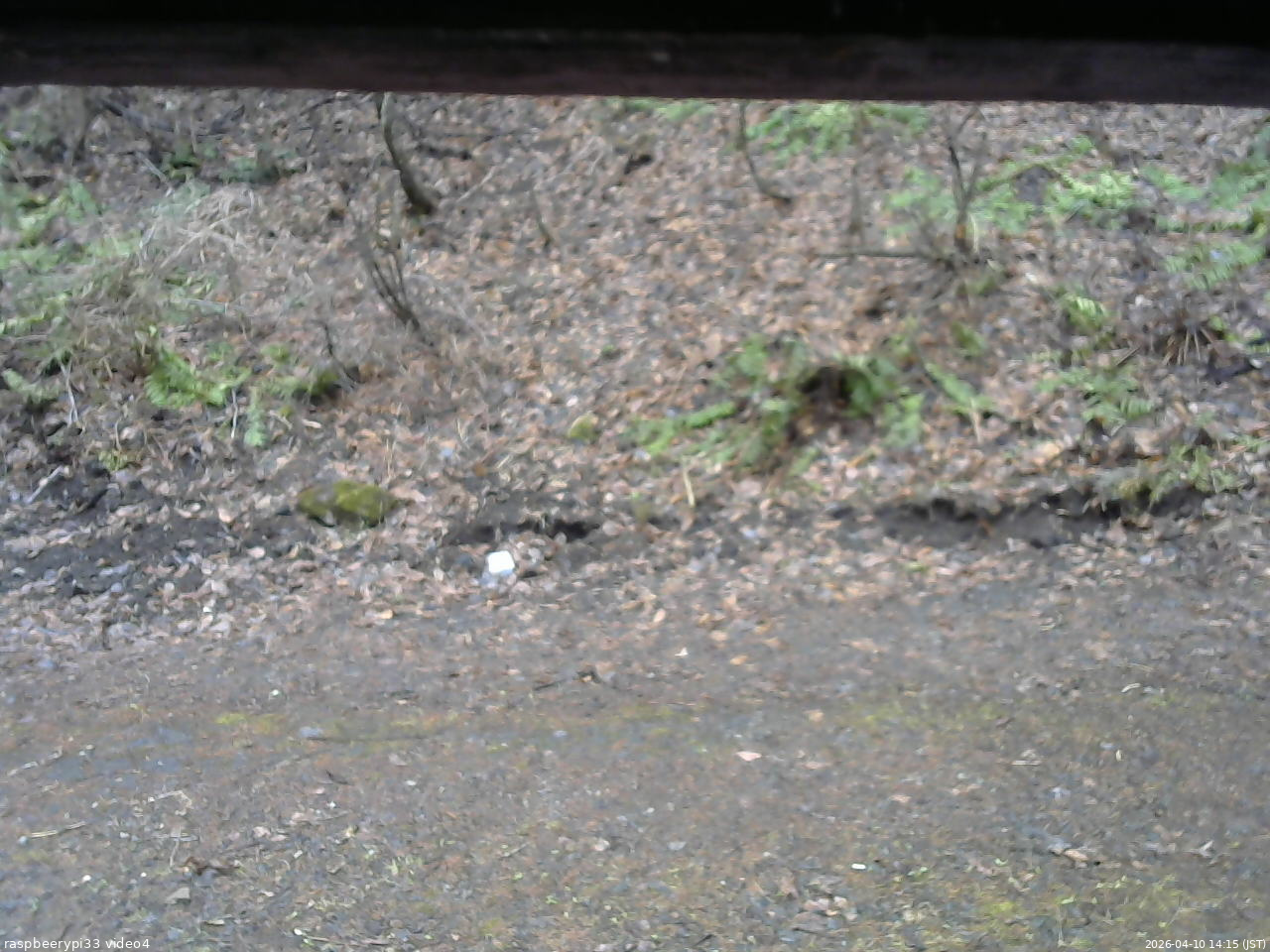 長野県菅平高原 ゆたか山荘 東側(坂下) 2026/04/10 14:15