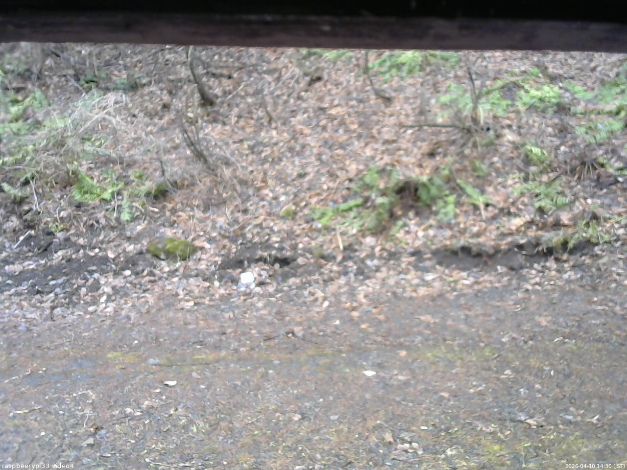 長野県菅平高原 ゆたか山荘 東側(坂下) 2026/04/10 14:30