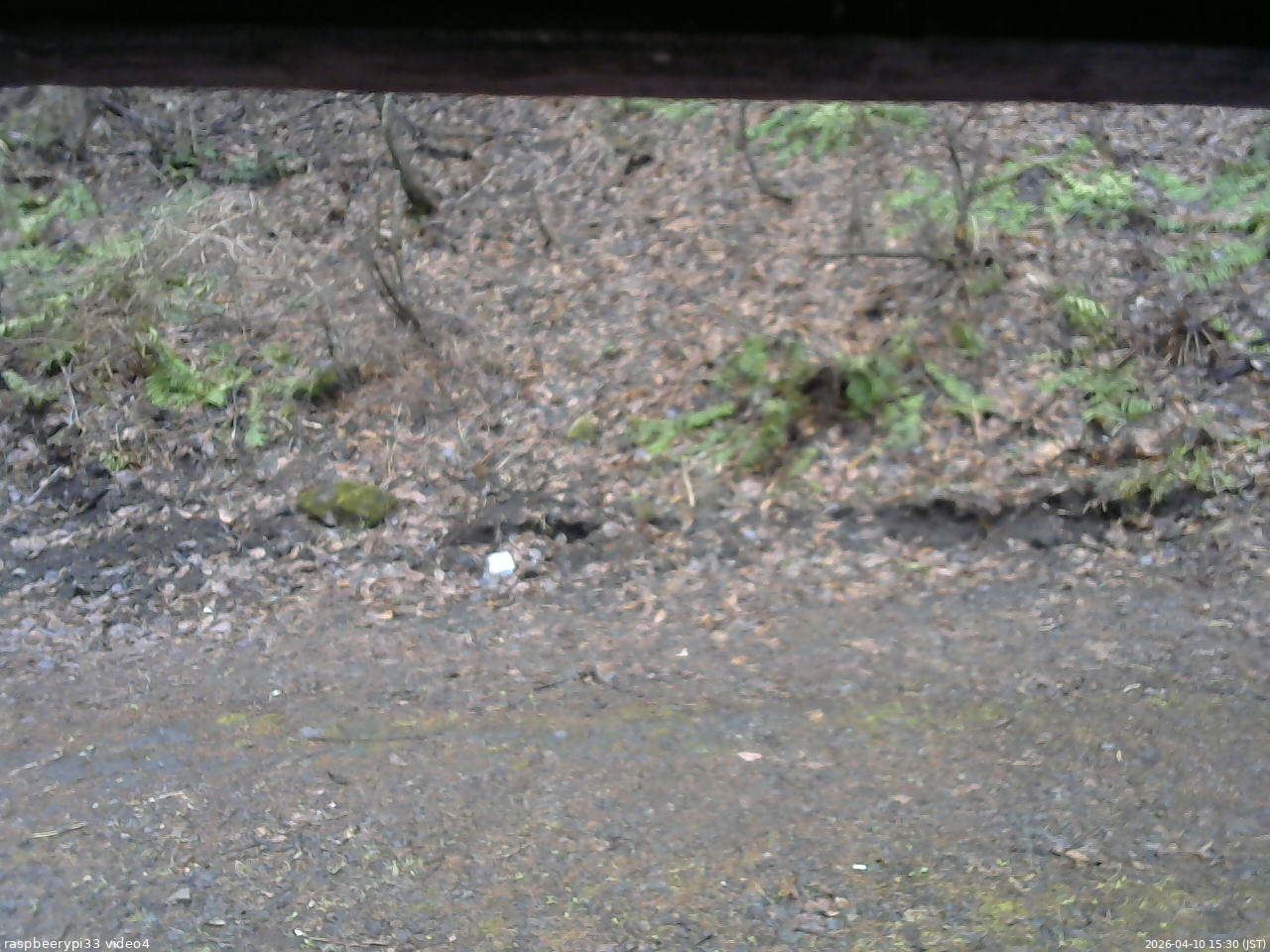 長野県菅平高原 ゆたか山荘 東側(坂下) 2026/04/10 15:30