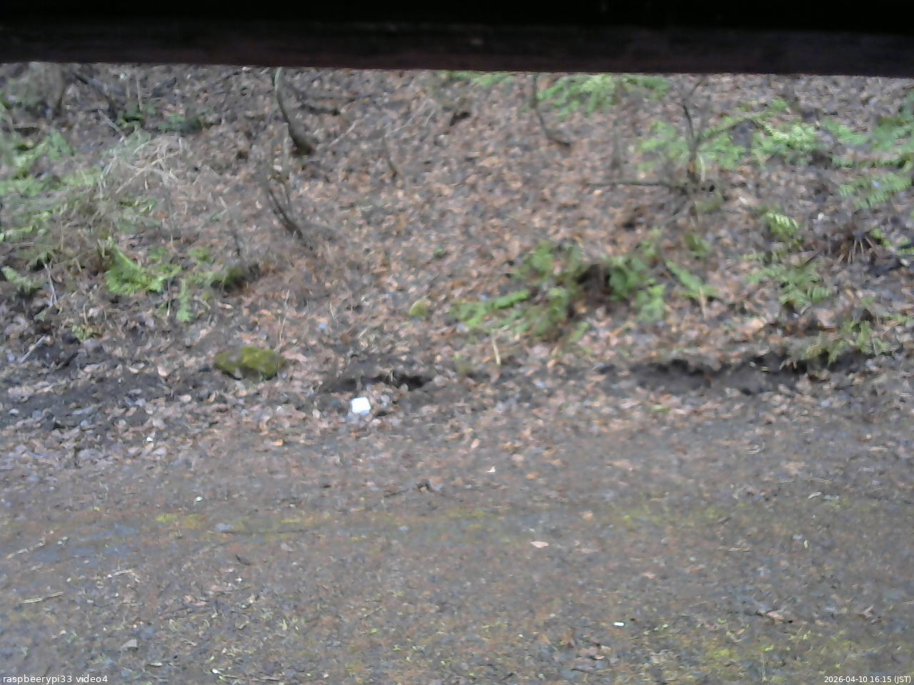 長野県菅平高原 ゆたか山荘 東側(坂下) 2026/04/10 16:15