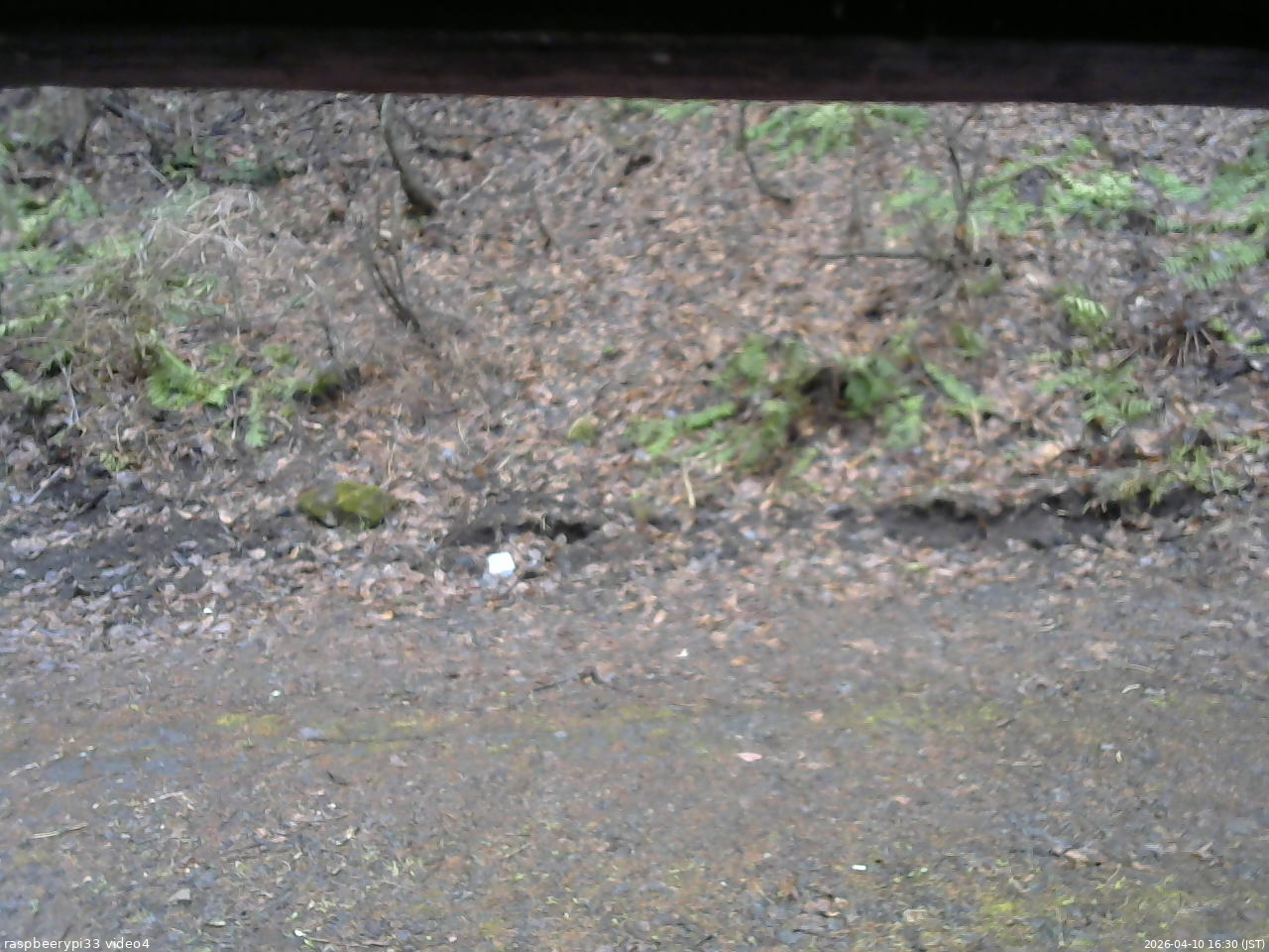 長野県菅平高原 ゆたか山荘 東側(坂下) 2026/04/10 16:30