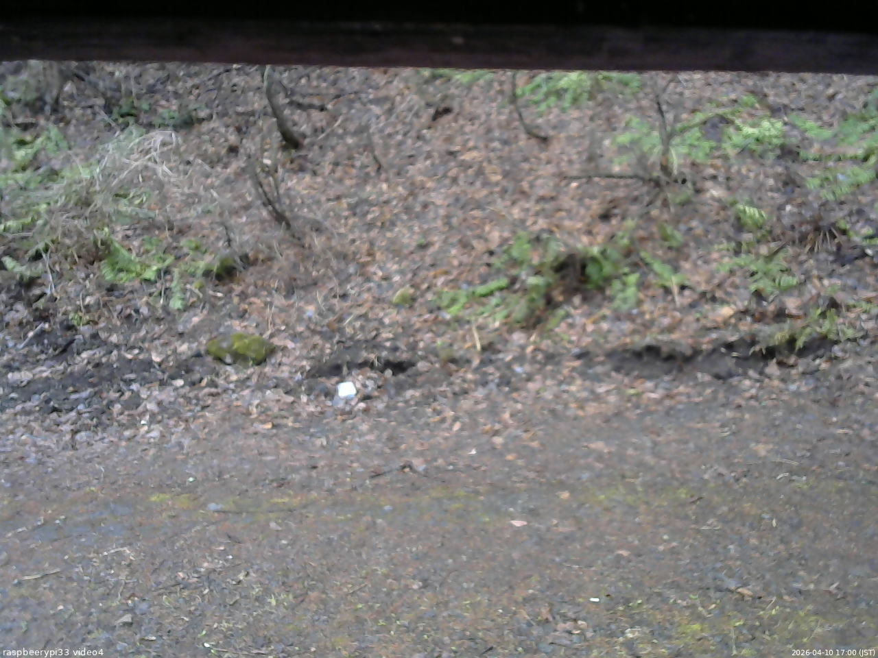 長野県菅平高原 ゆたか山荘 東側(坂下) 2026/04/10 17:00