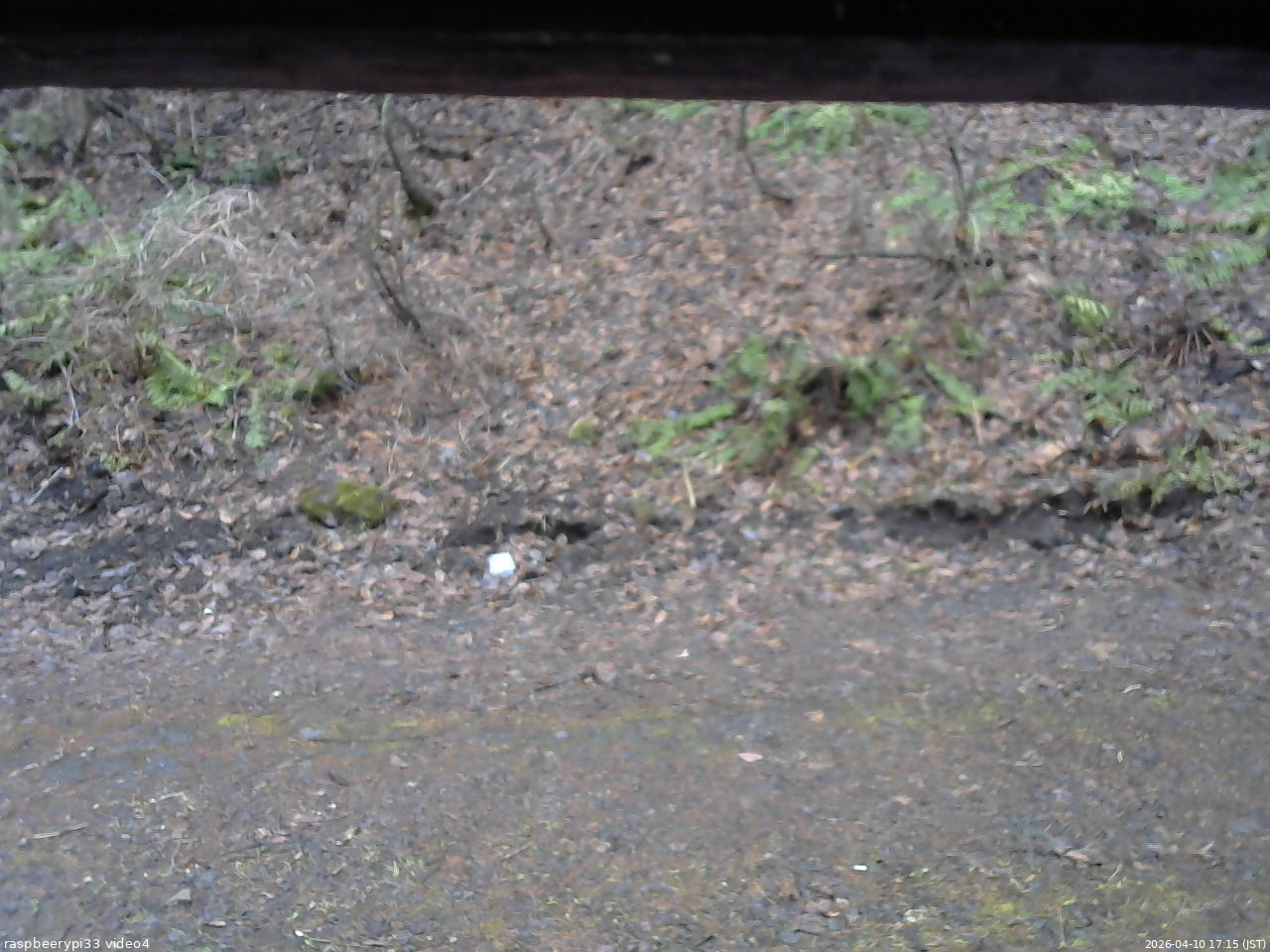 長野県菅平高原 ゆたか山荘 東側(坂下) 2026/04/10 17:15