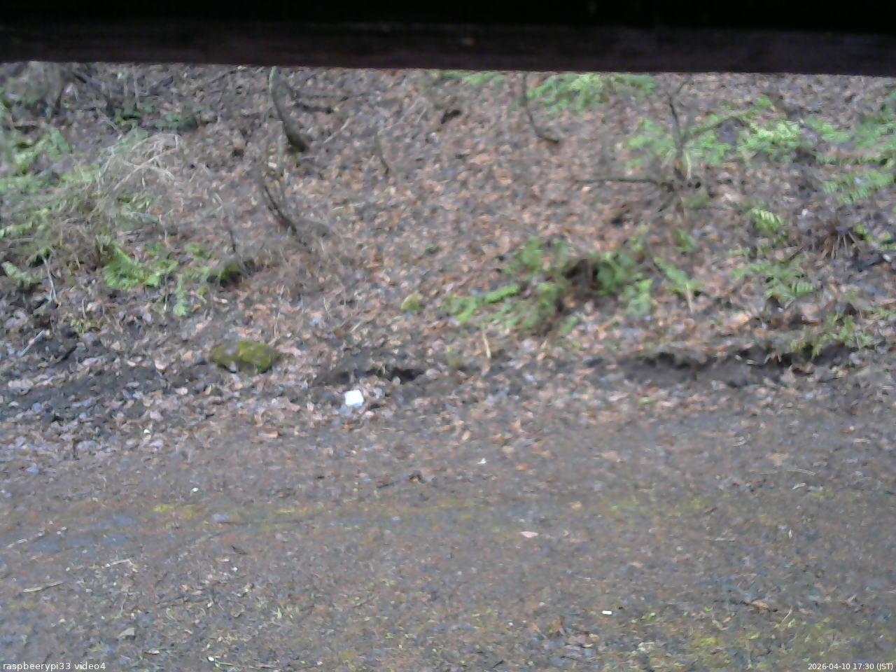 長野県菅平高原 ゆたか山荘 東側(坂下) 2026/04/10 17:30