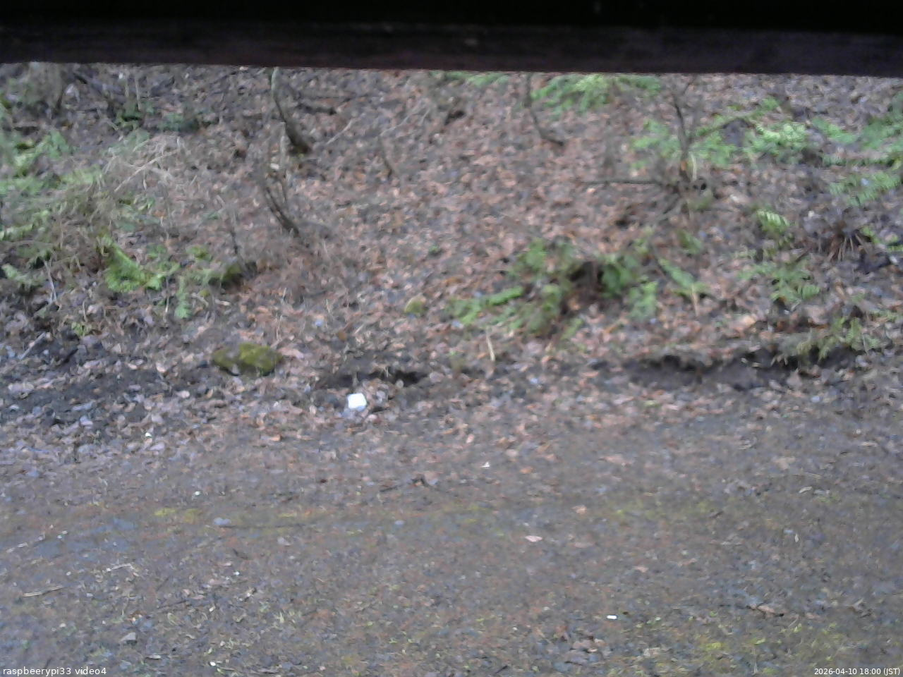 長野県菅平高原 ゆたか山荘 東側(坂下) 2026/04/10 18:00