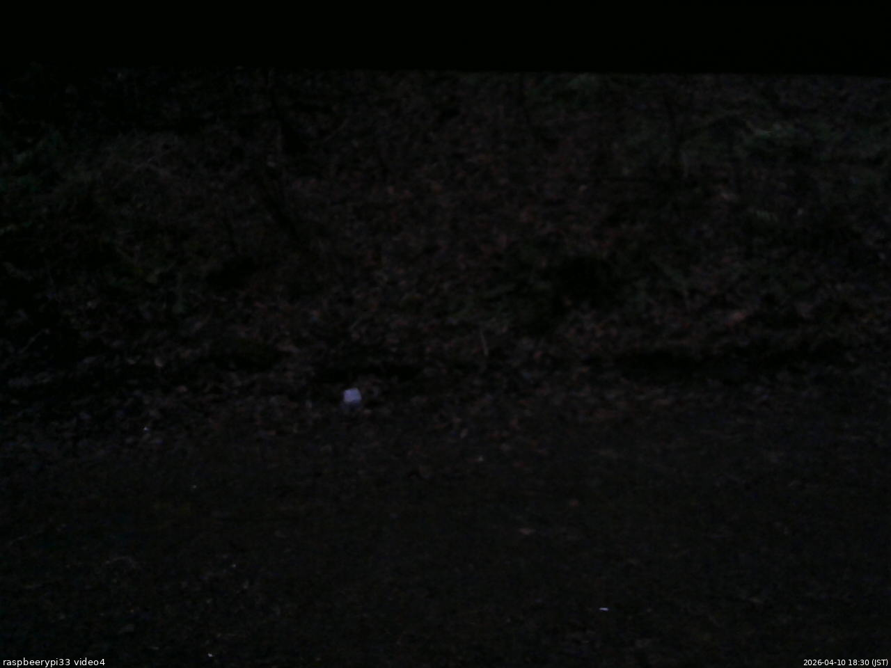 長野県菅平高原 ゆたか山荘 東側(坂下) 2026/04/10 18:30