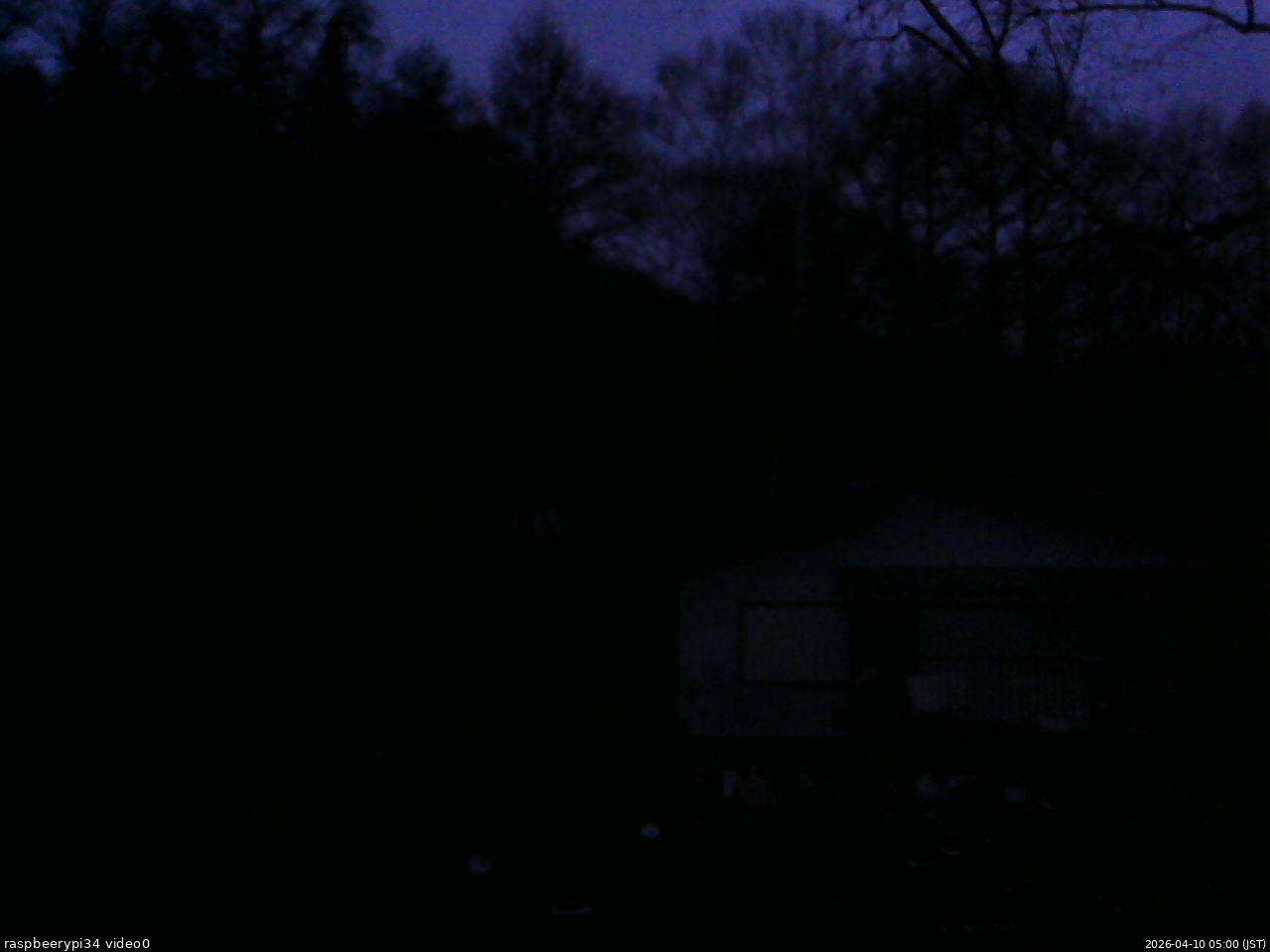 長野県菅平高原 ゆたか山荘 西側(坂上) 2026/04/10 05:00