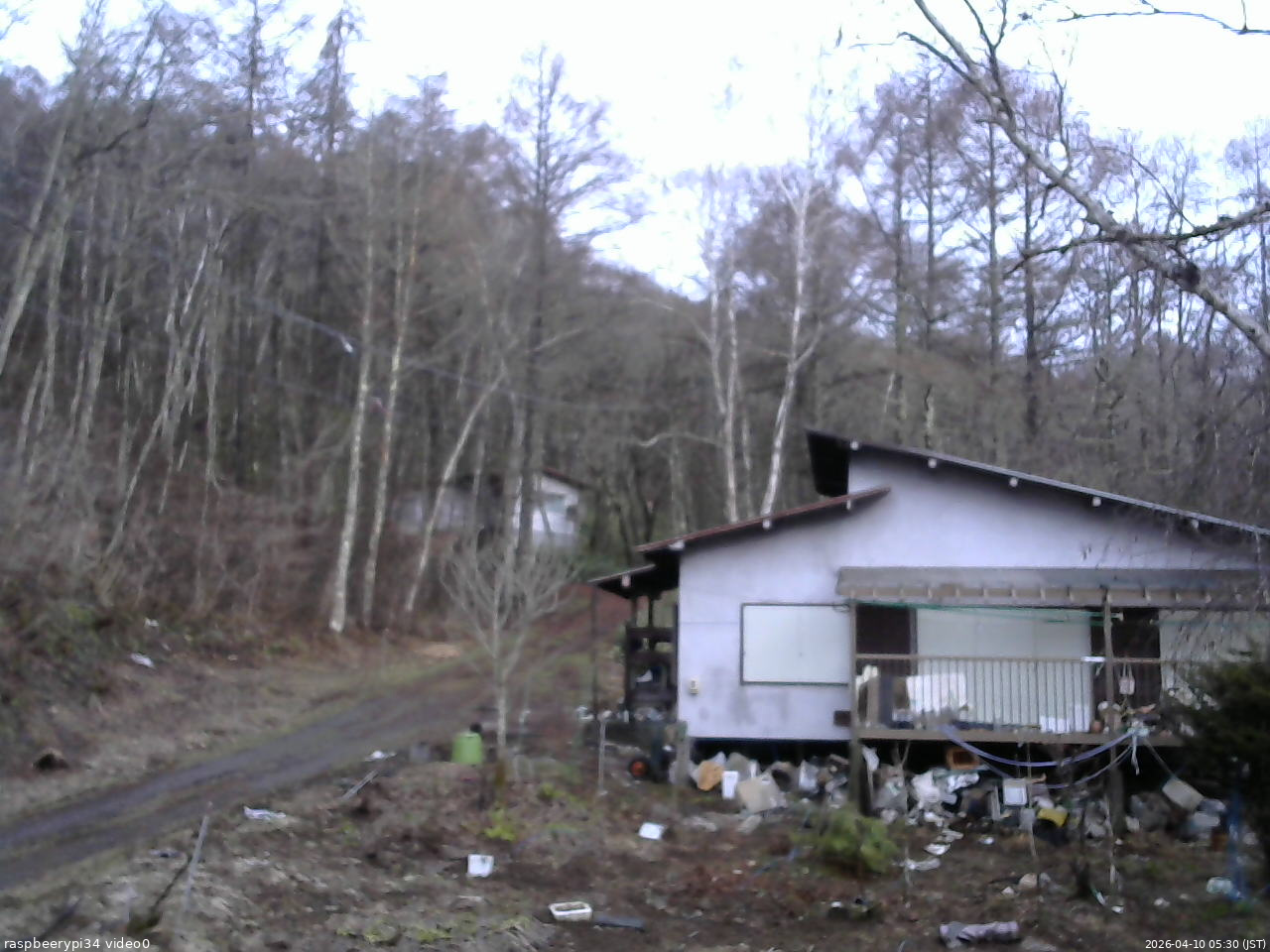 長野県菅平高原 ゆたか山荘 西側(坂上) 2026/04/10 05:30