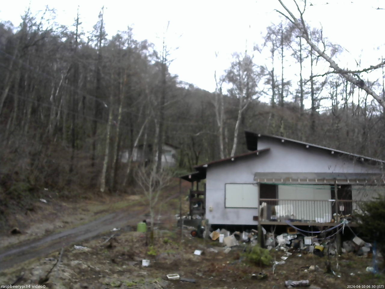 長野県菅平高原 ゆたか山荘 西側(坂上) 2026/04/10 06:30