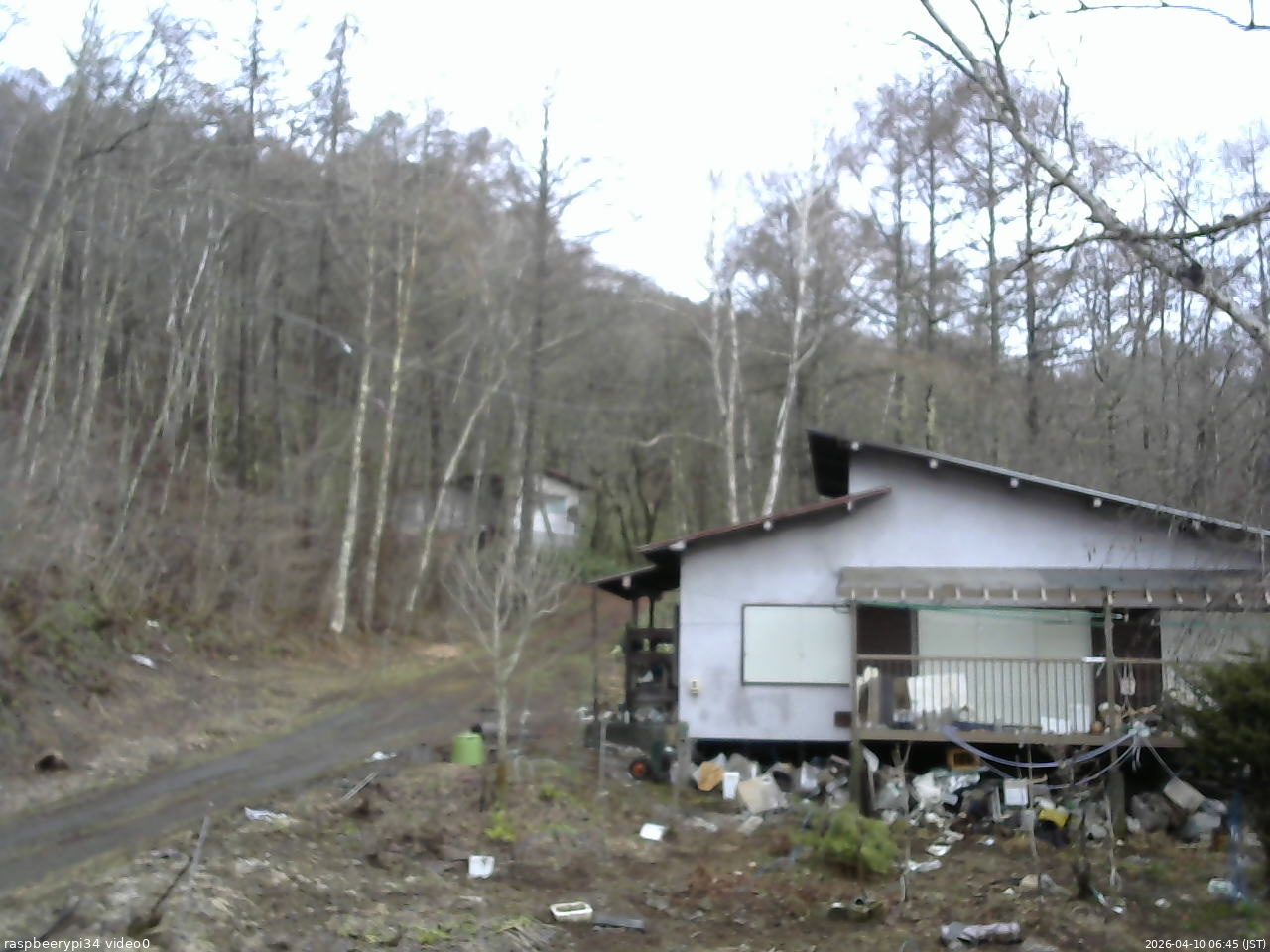 長野県菅平高原 ゆたか山荘 西側(坂上) 2026/04/10 06:45