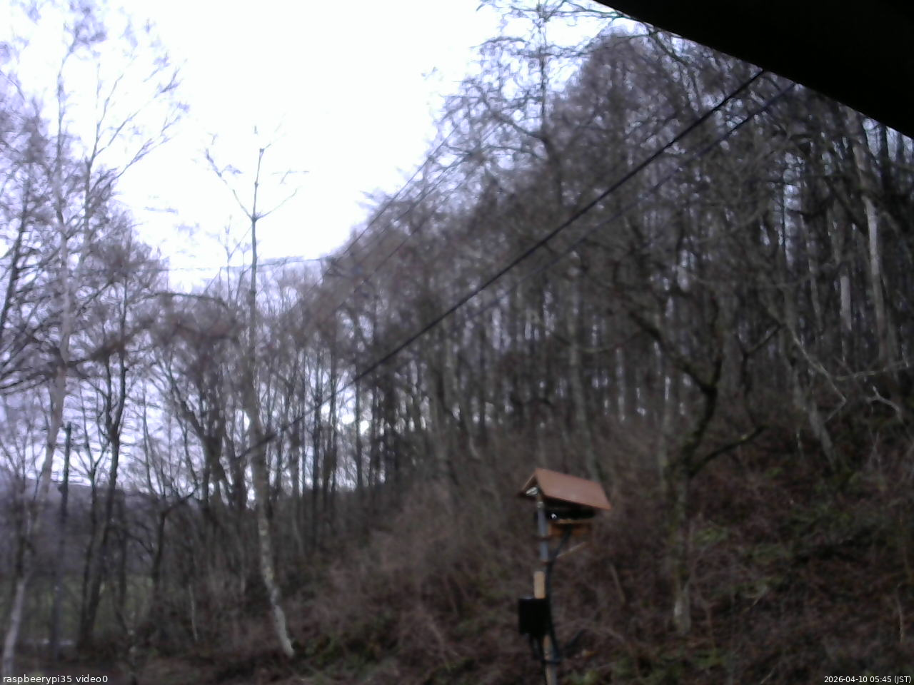 長野県菅平高原 ゆたか山荘 温度計 2026/04/10 05:45