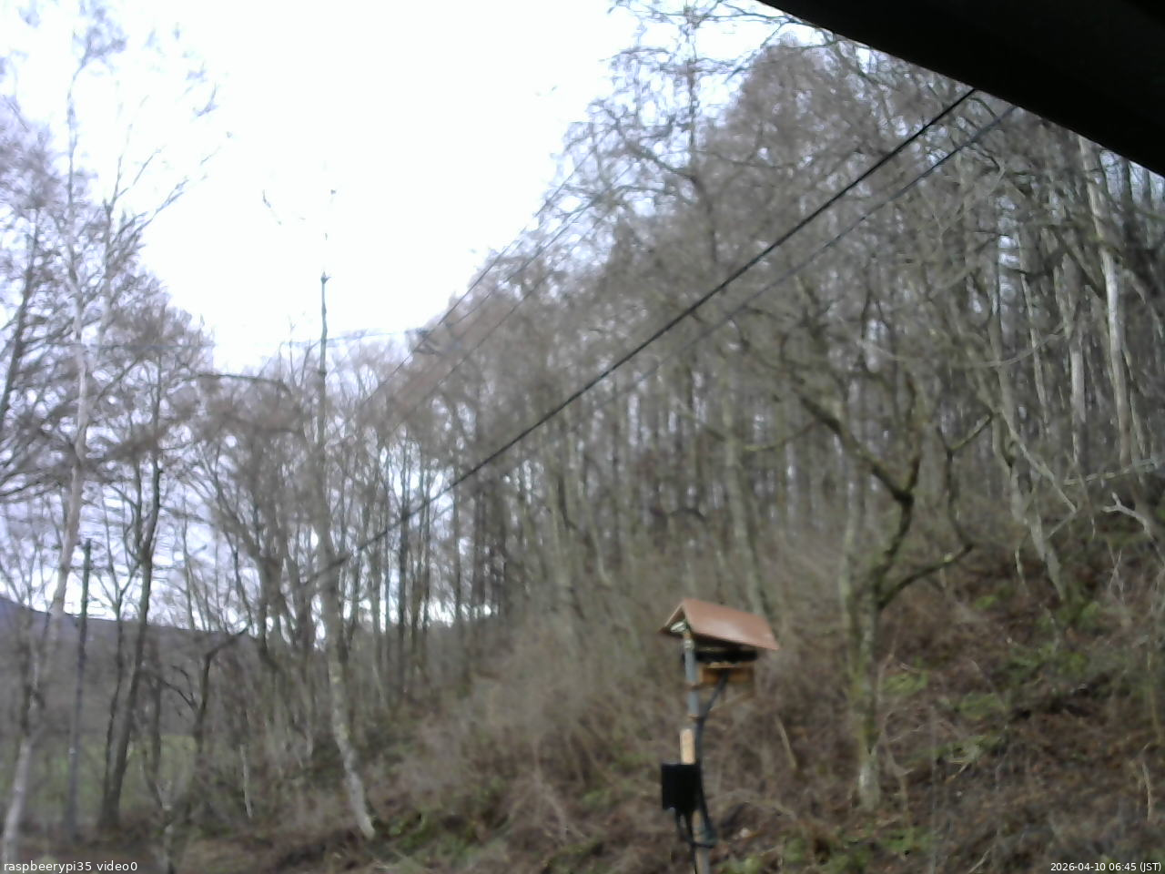 長野県菅平高原 ゆたか山荘 温度計 2026/04/10 06:45
