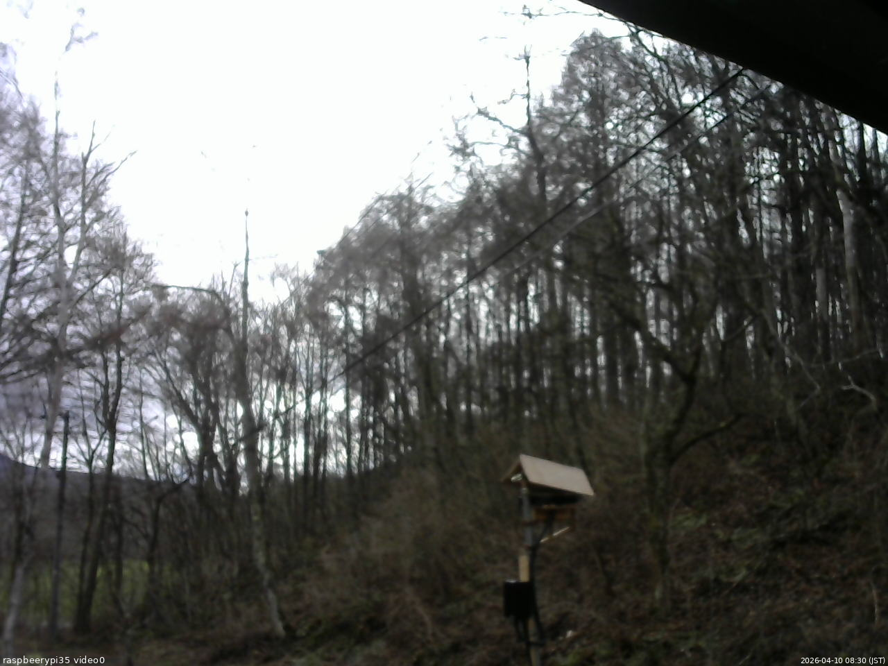 長野県菅平高原 ゆたか山荘 温度計 2026/04/10 08:30