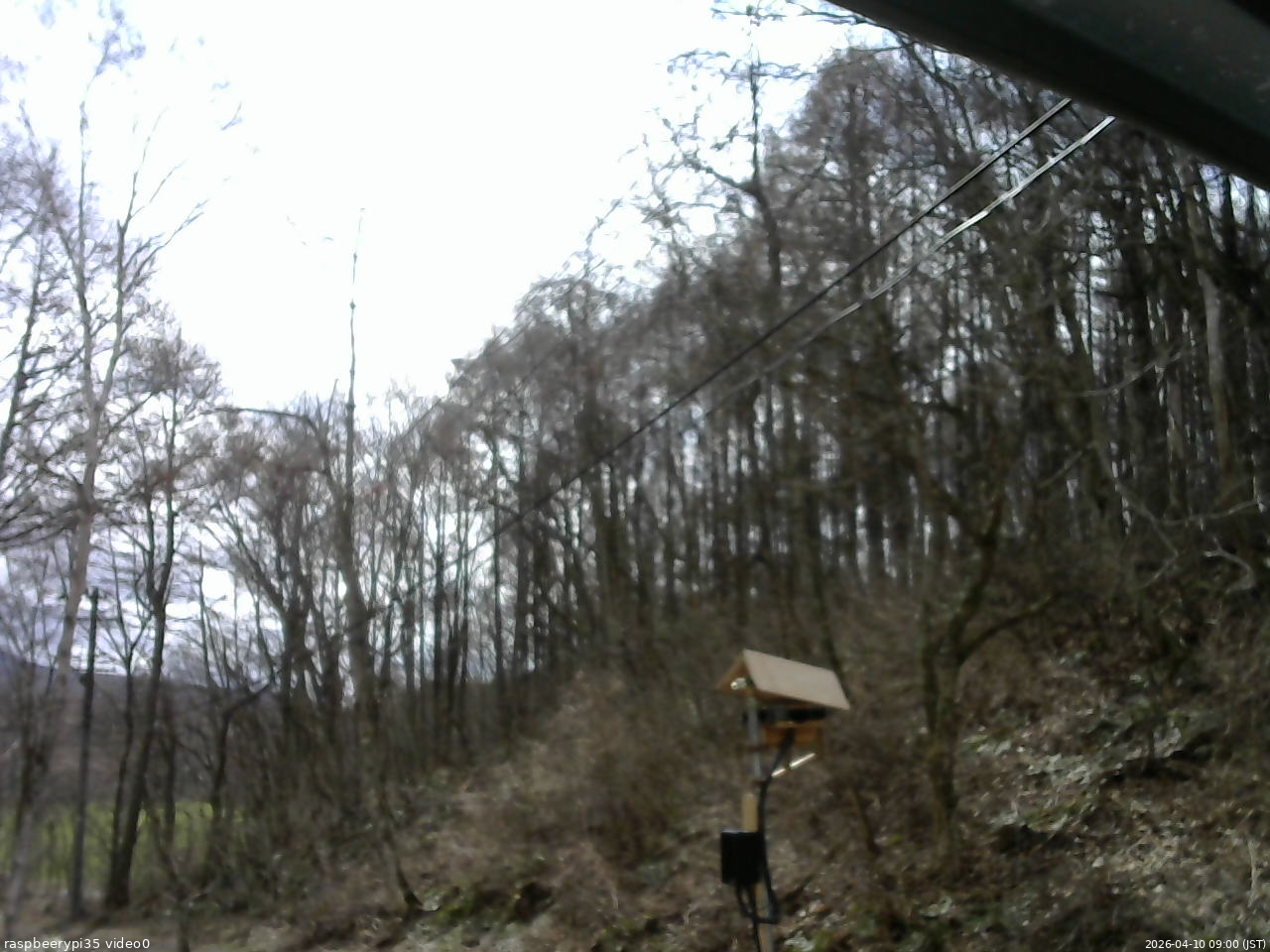 長野県菅平高原 ゆたか山荘 温度計 2026/04/10 09:00