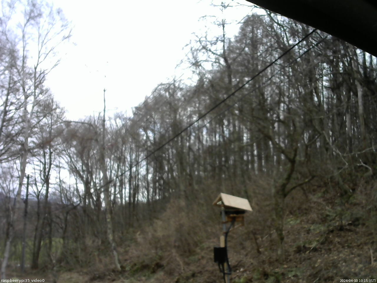 長野県菅平高原 ゆたか山荘 温度計 2026/04/10 10:15