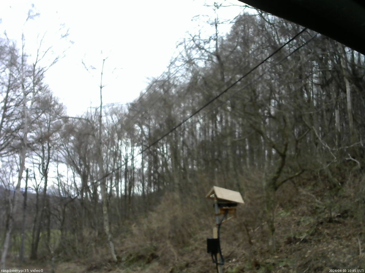 長野県菅平高原 ゆたか山荘 温度計 2026/04/10 10:45