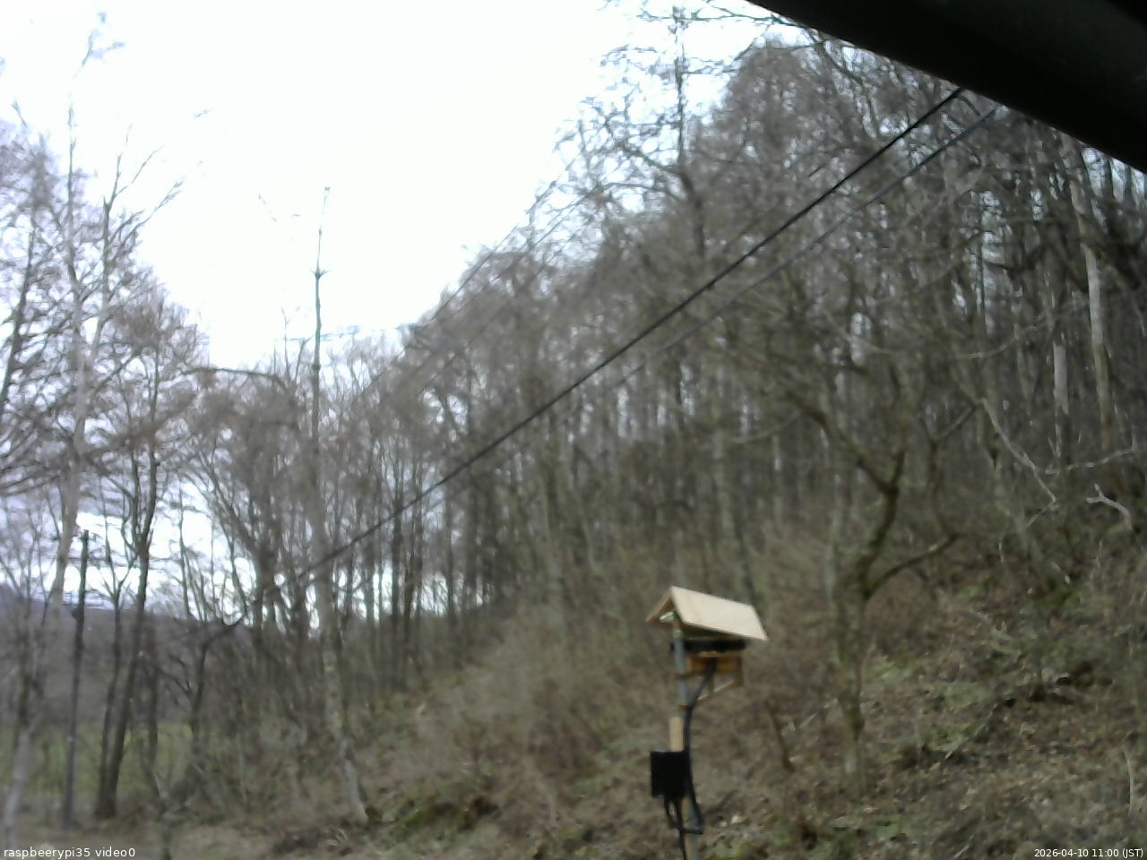 長野県菅平高原 ゆたか山荘 温度計 2026/04/10 11:00