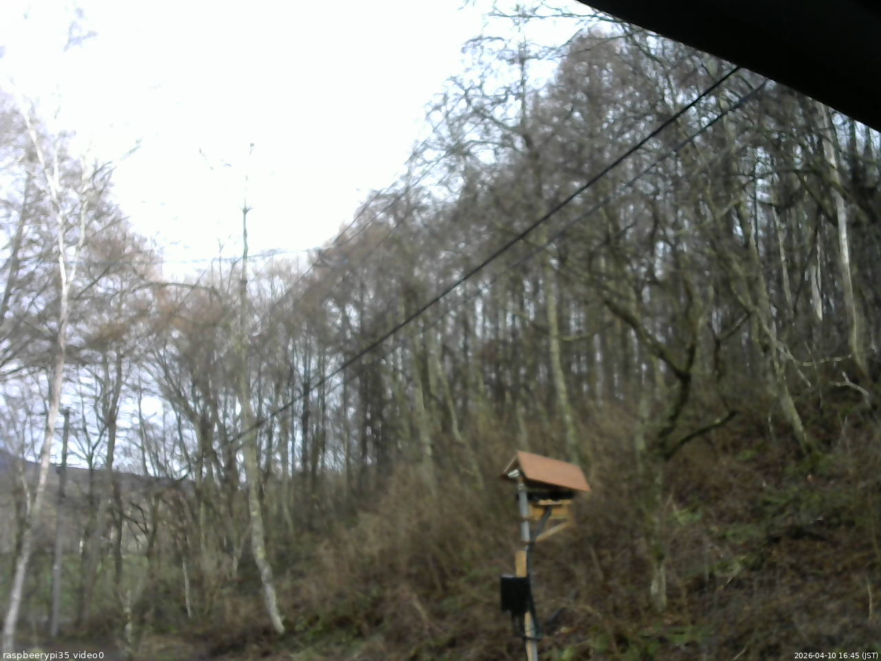 長野県菅平高原 ゆたか山荘 温度計 2026/04/10 16:45