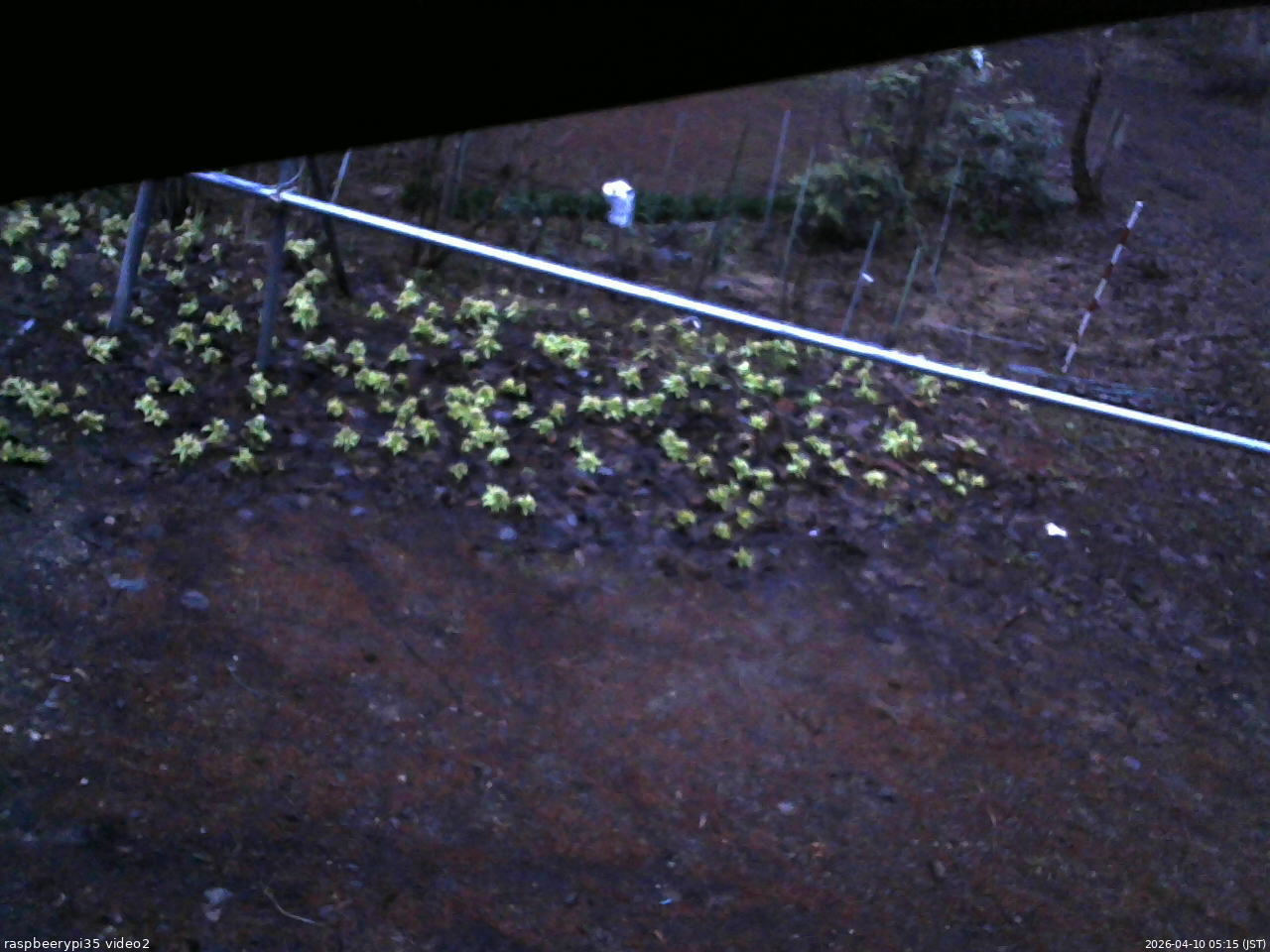 長野県菅平高原 ゆたか山荘 駐車場 2026/04/10 05:15