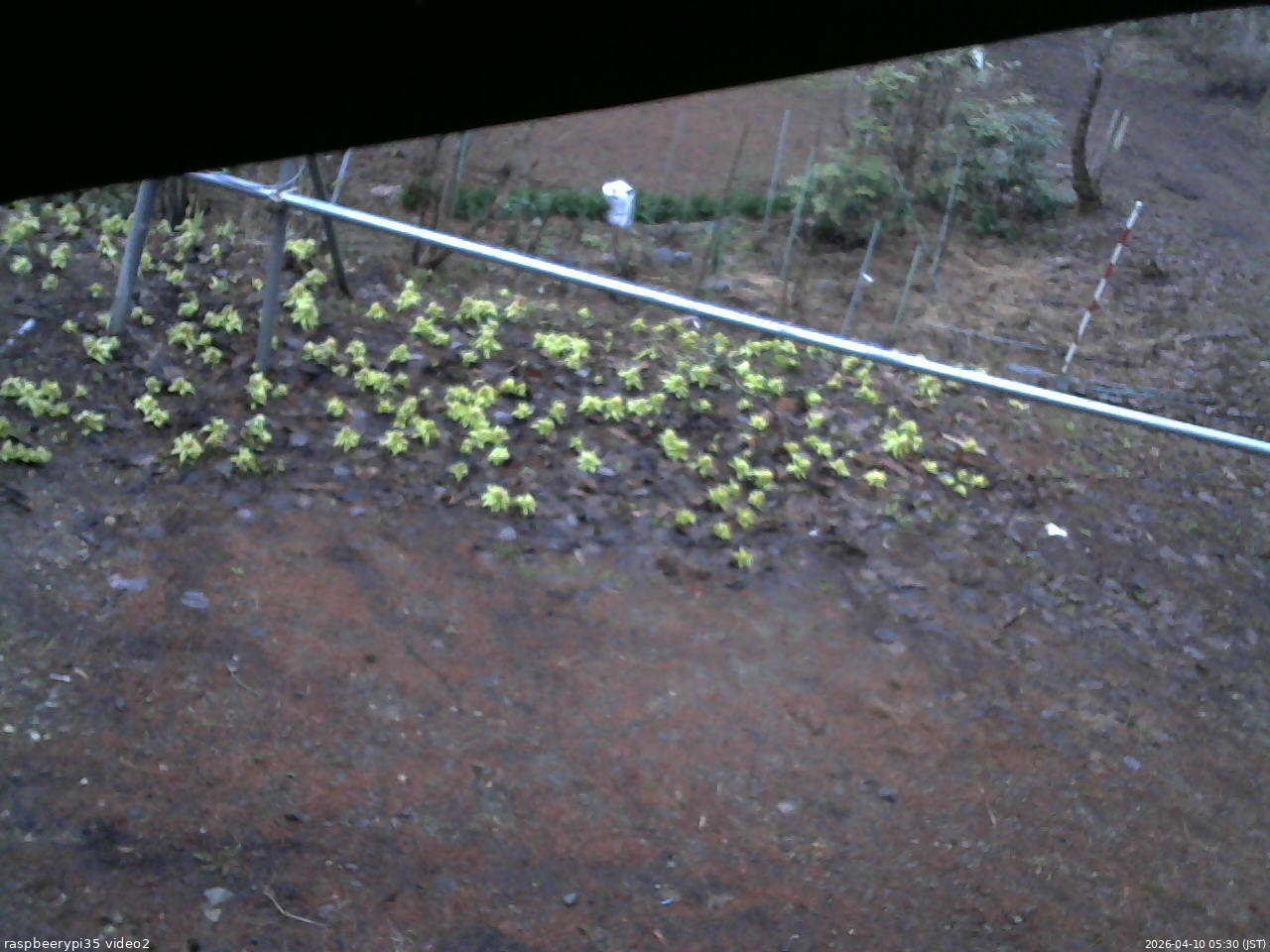 長野県菅平高原 ゆたか山荘 駐車場 2026/04/10 05:30