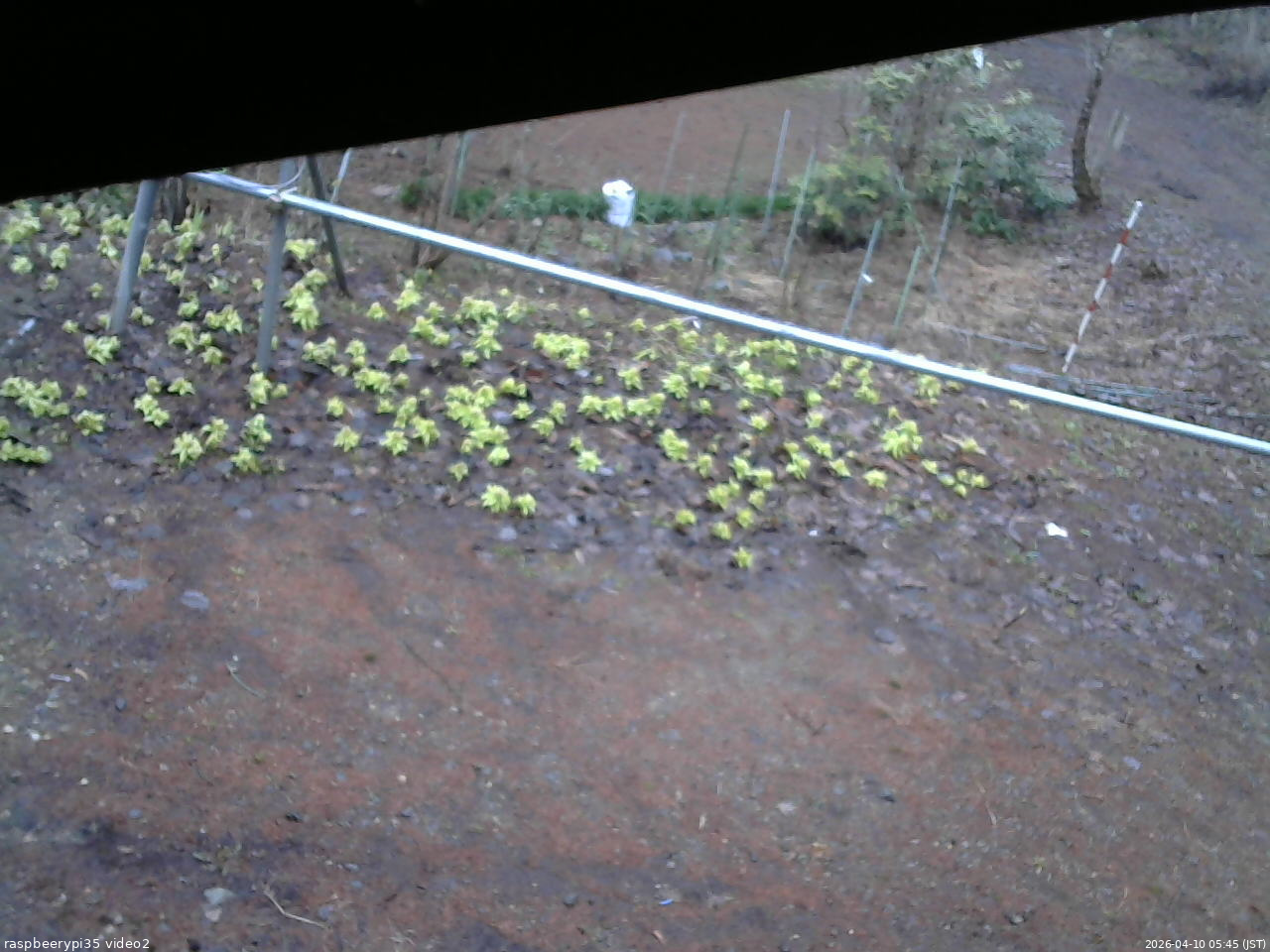 長野県菅平高原 ゆたか山荘 駐車場 2026/04/10 05:45
